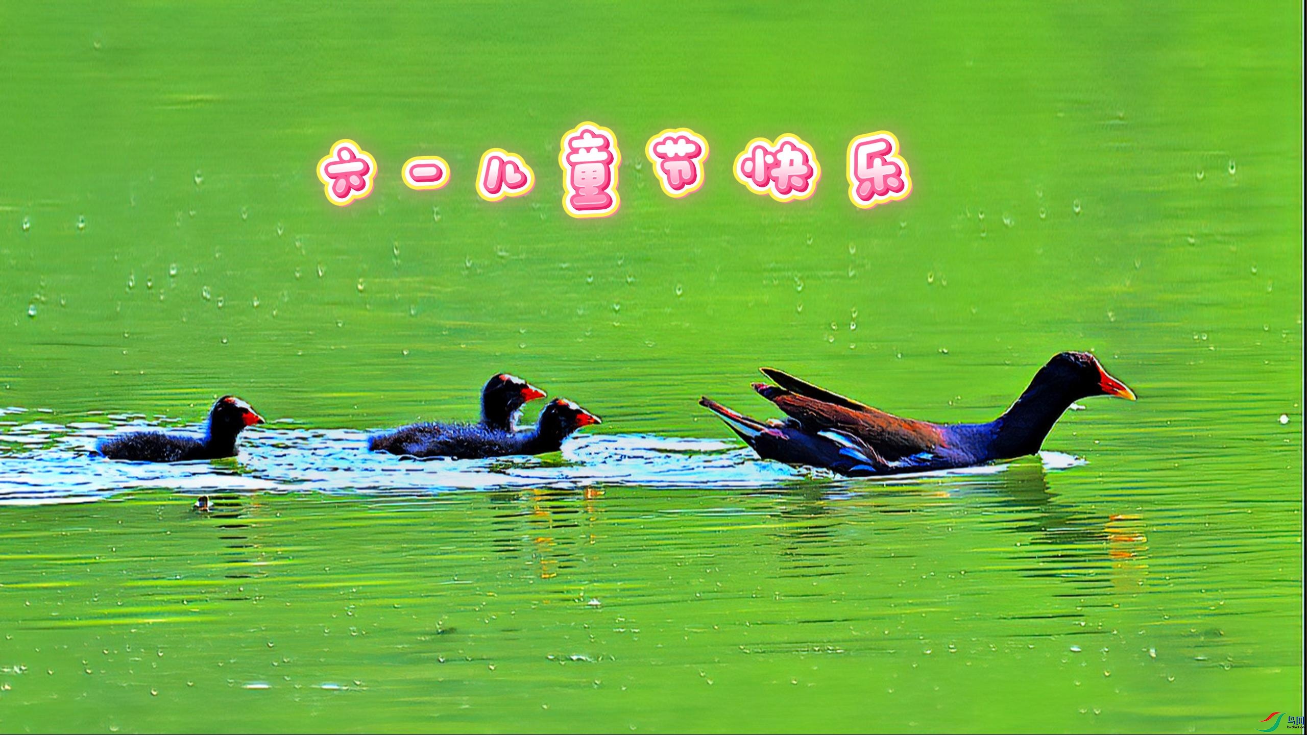 �������������Ȥ