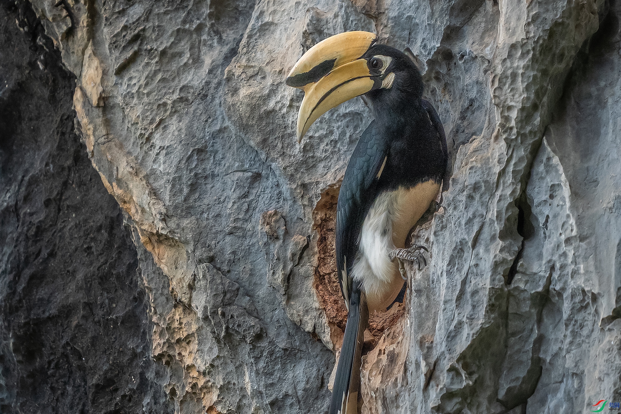 DSC06191 ���� 2.jpg