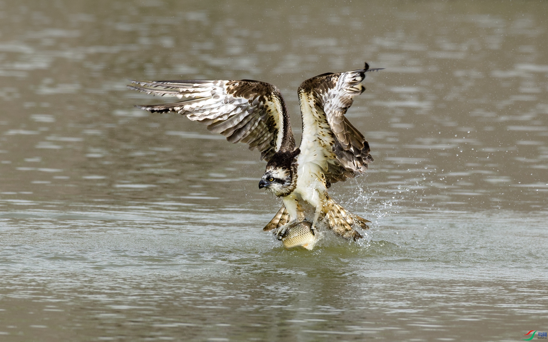 099A7256 ����x.jpg