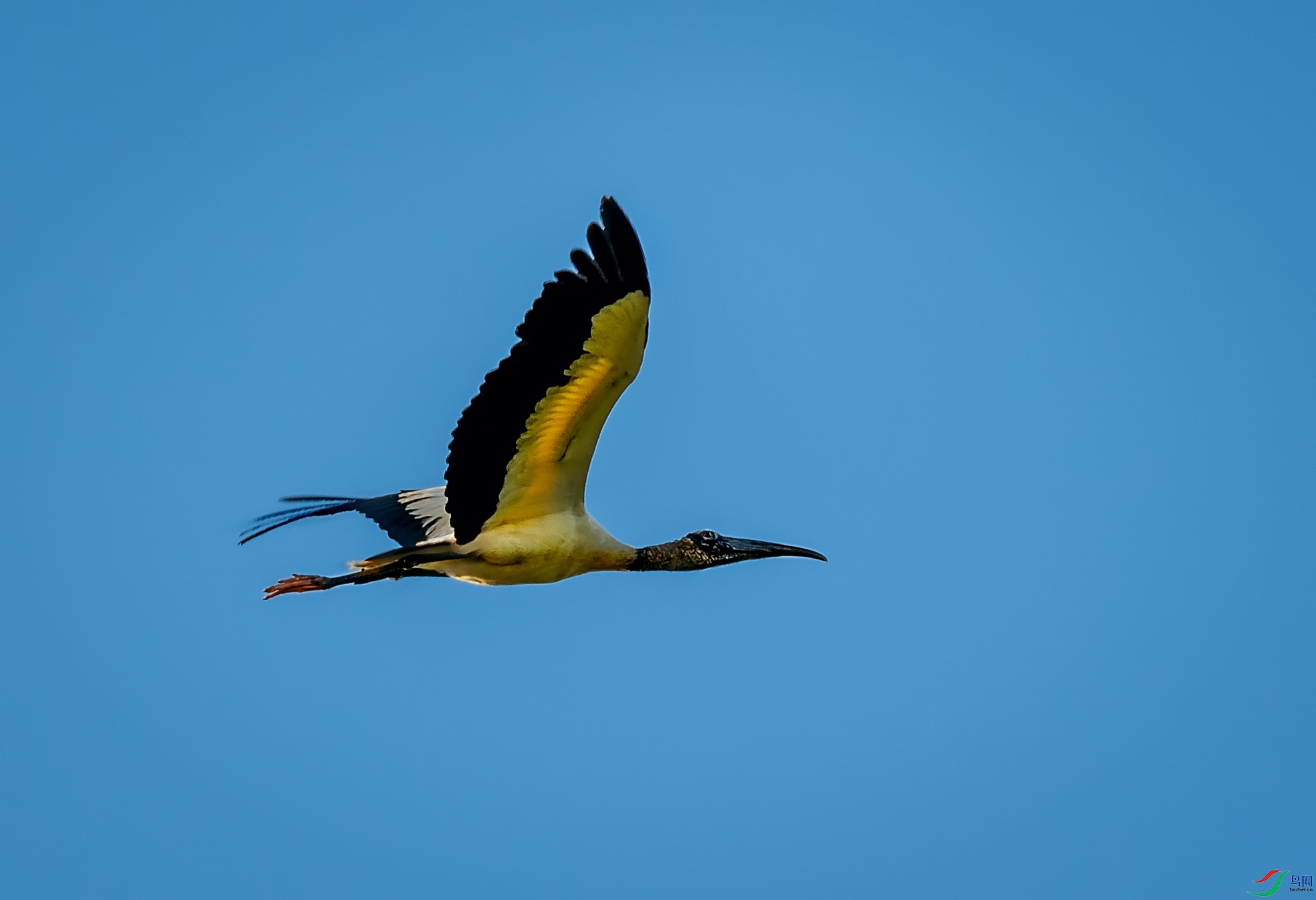 _DSC3305w.jpg