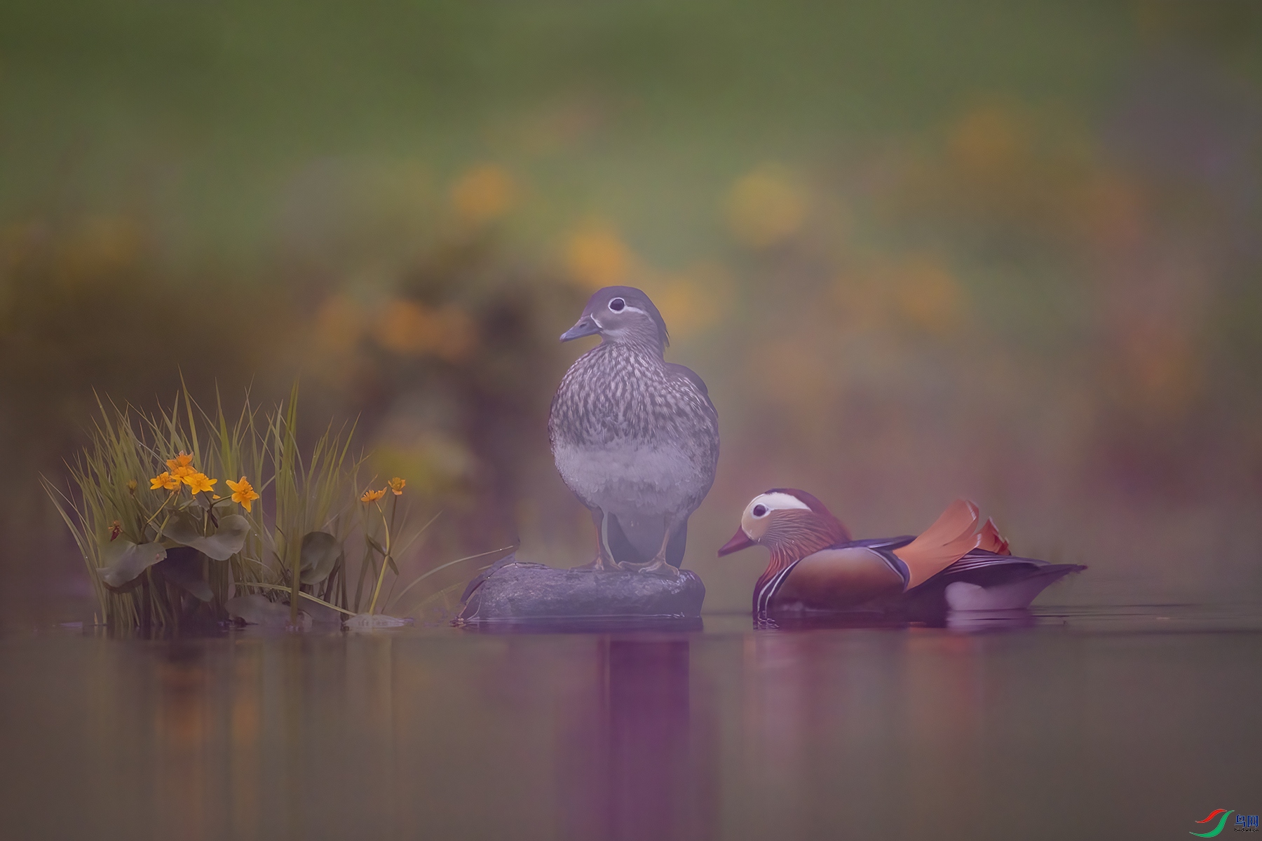 488A8359 ����.jpg