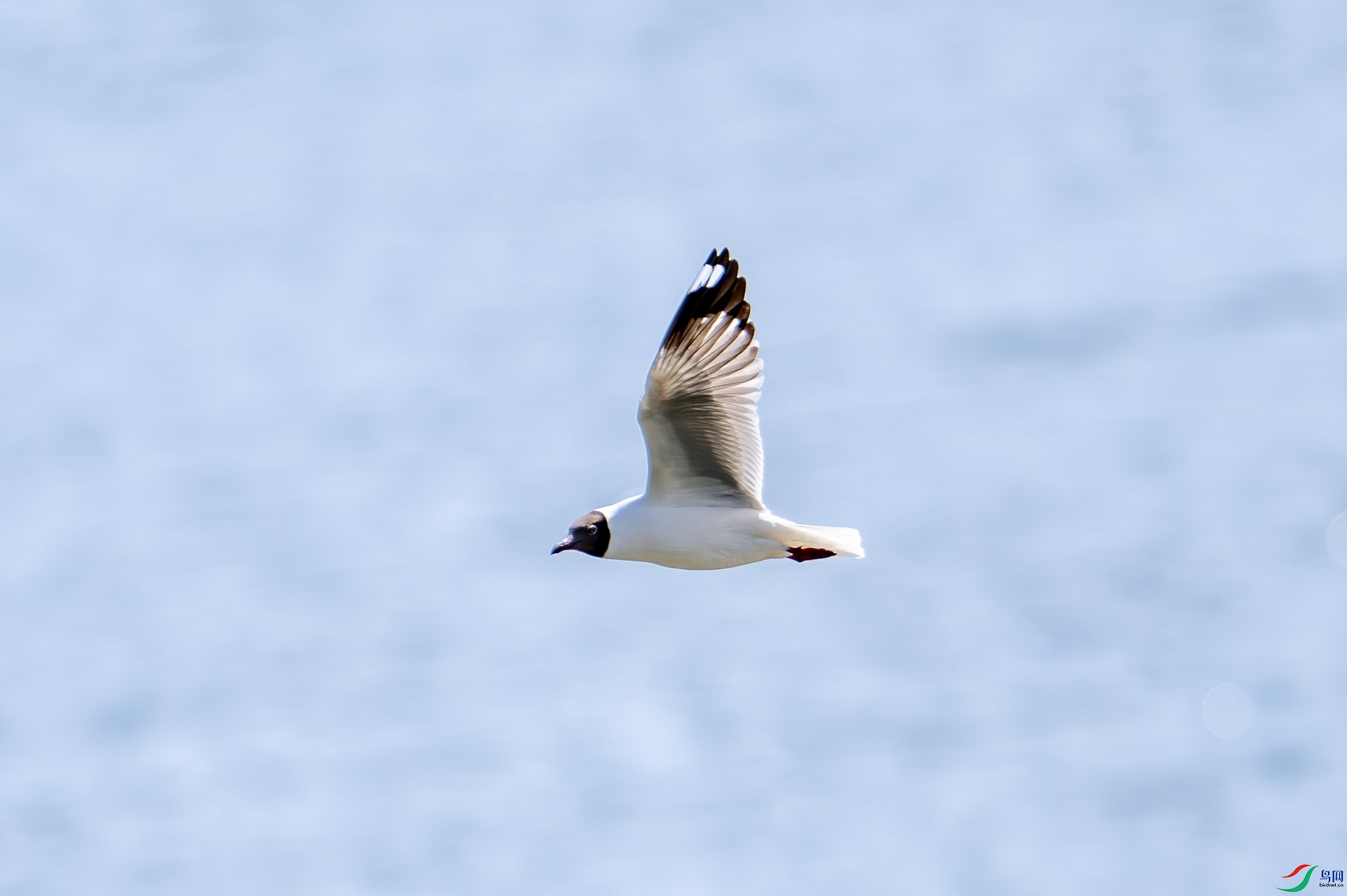 DSC_5025.jpg