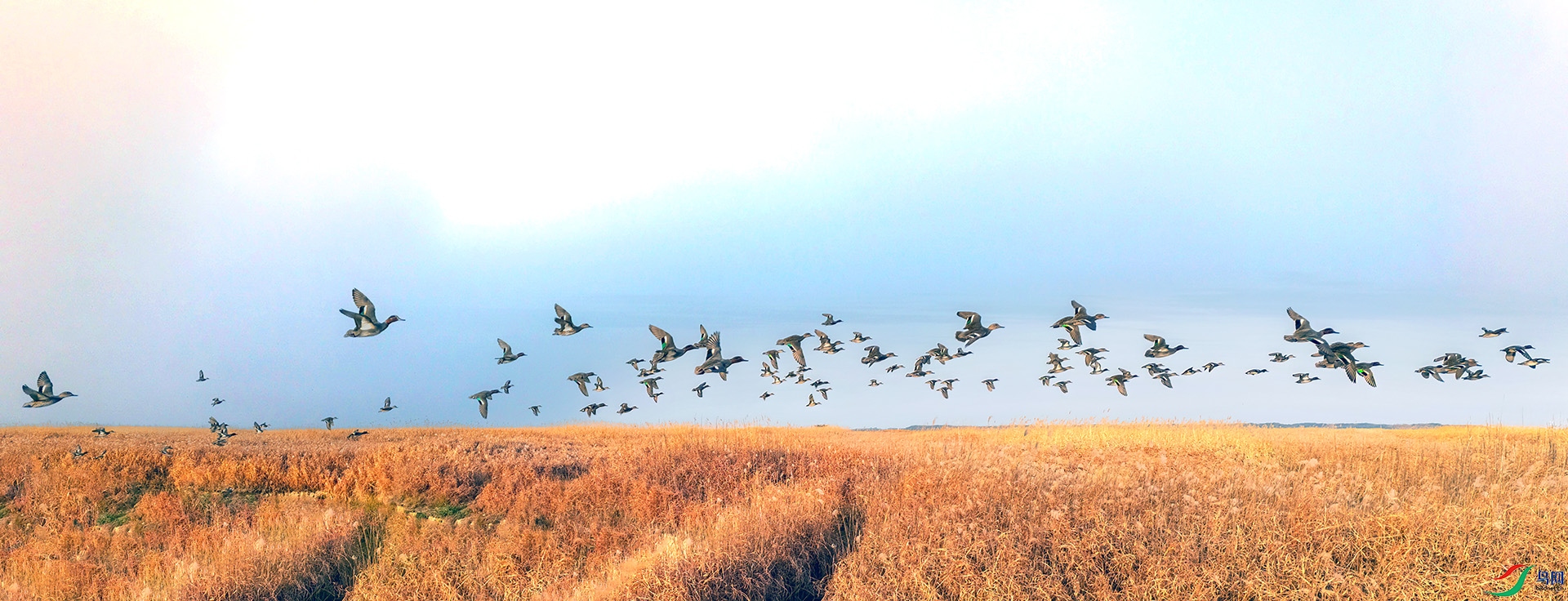 DJI_20250110163853_0016_D ����-Sh---1 .jpg