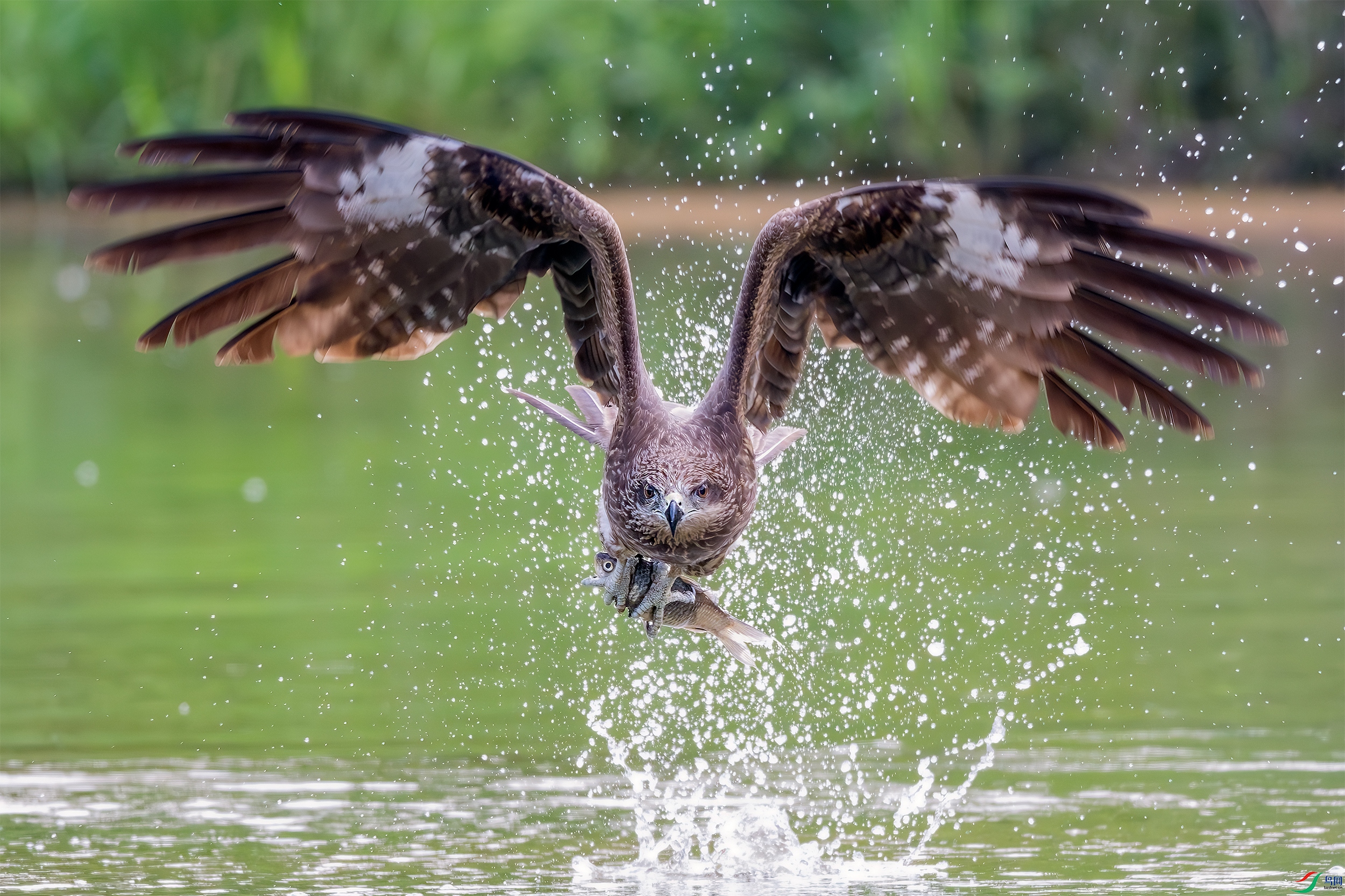 _DSC5910 ����.jpg