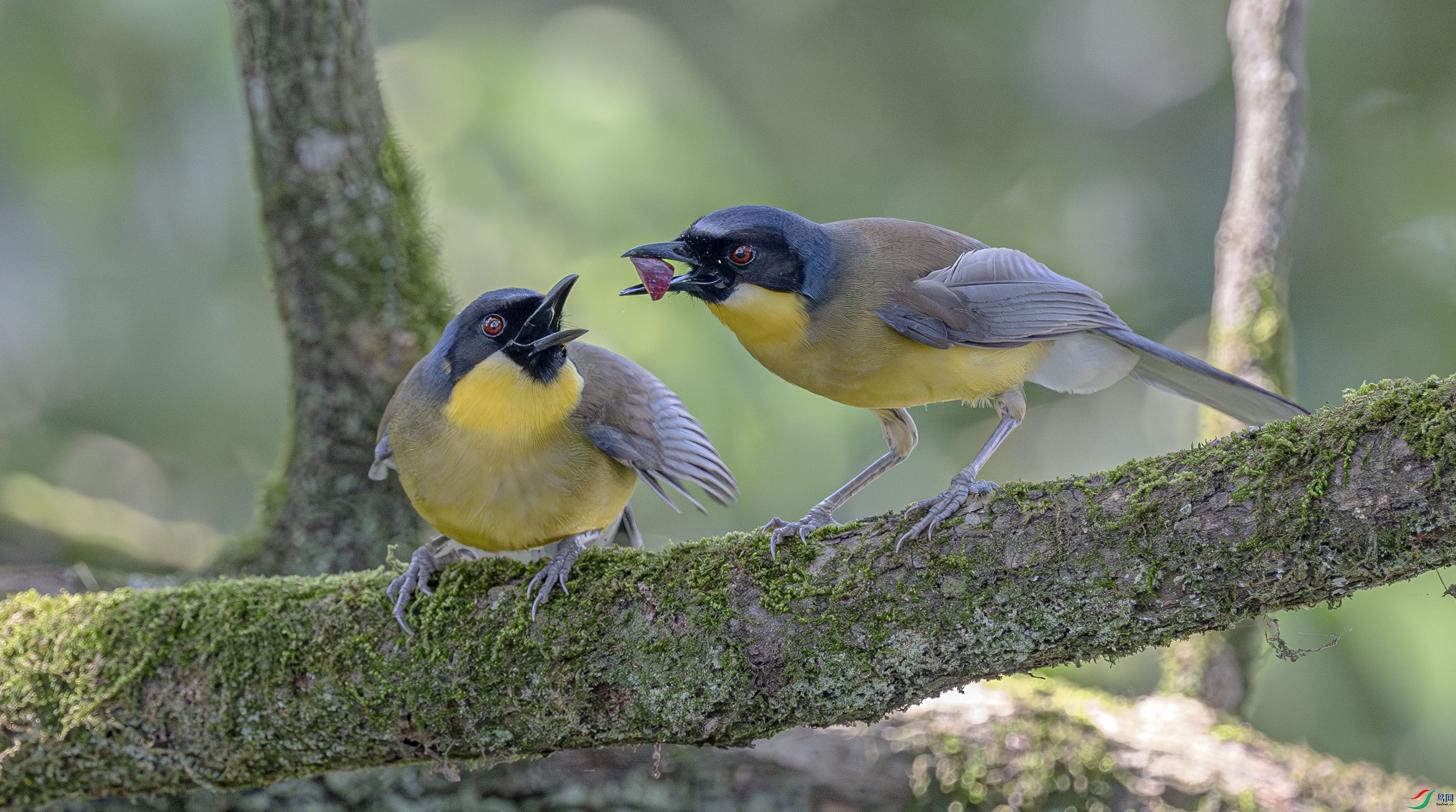 DSC_4847-����ǿ-NR ����.jpg