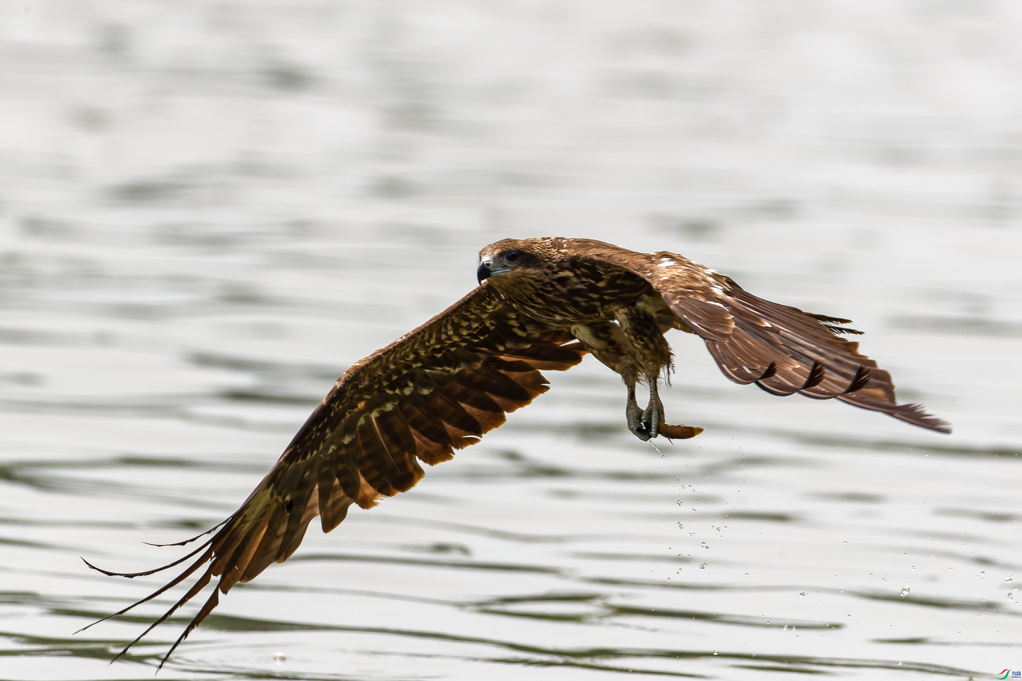 2X2_3959-CR2_DxO_DeepPRIME-1.jpg