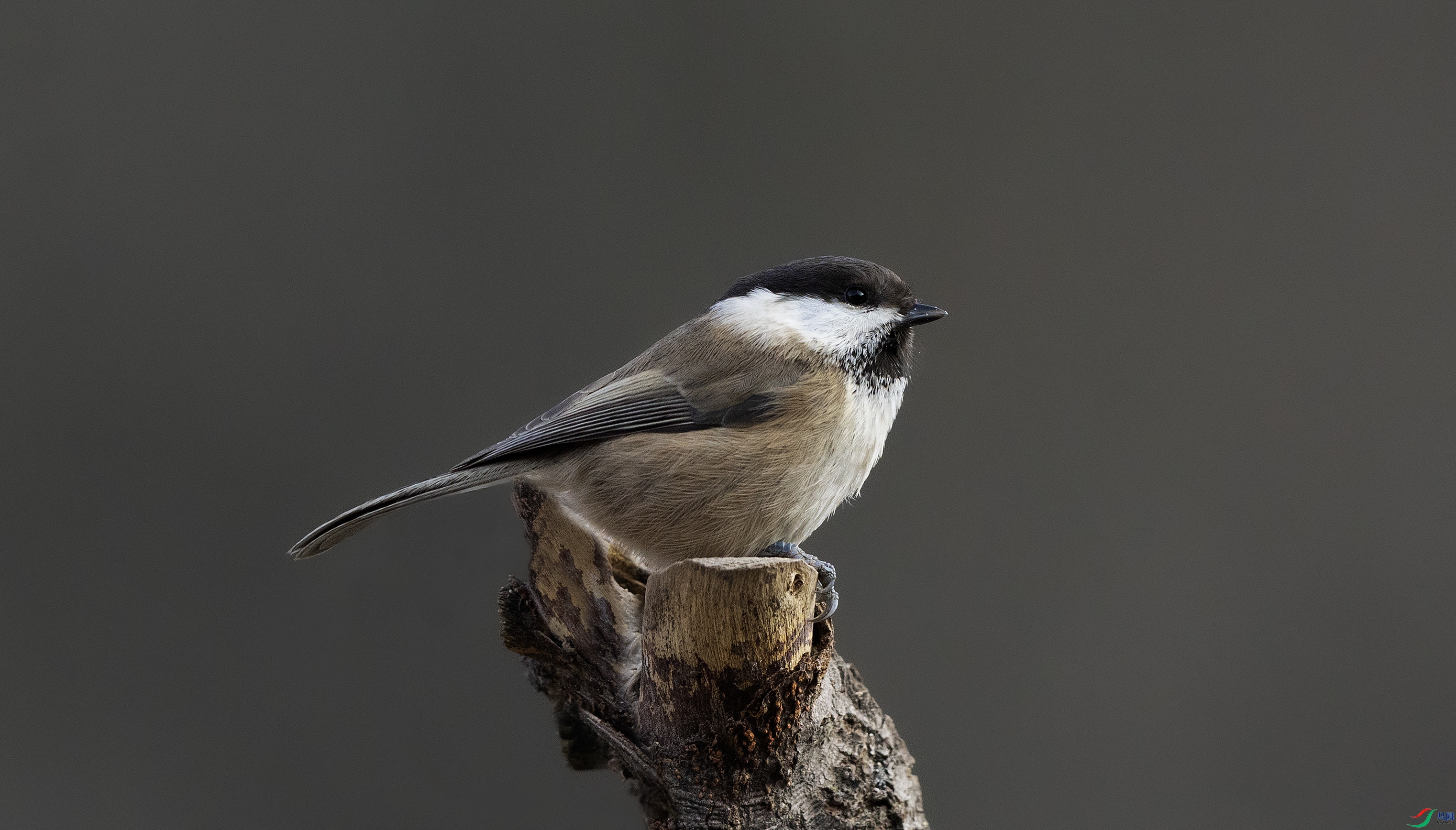 7X5A3541 ����444.jpg