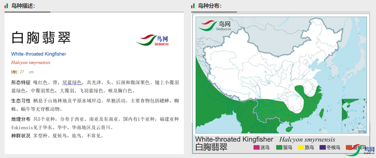 d0311bf3ceda75a05035591f332deb1.png
