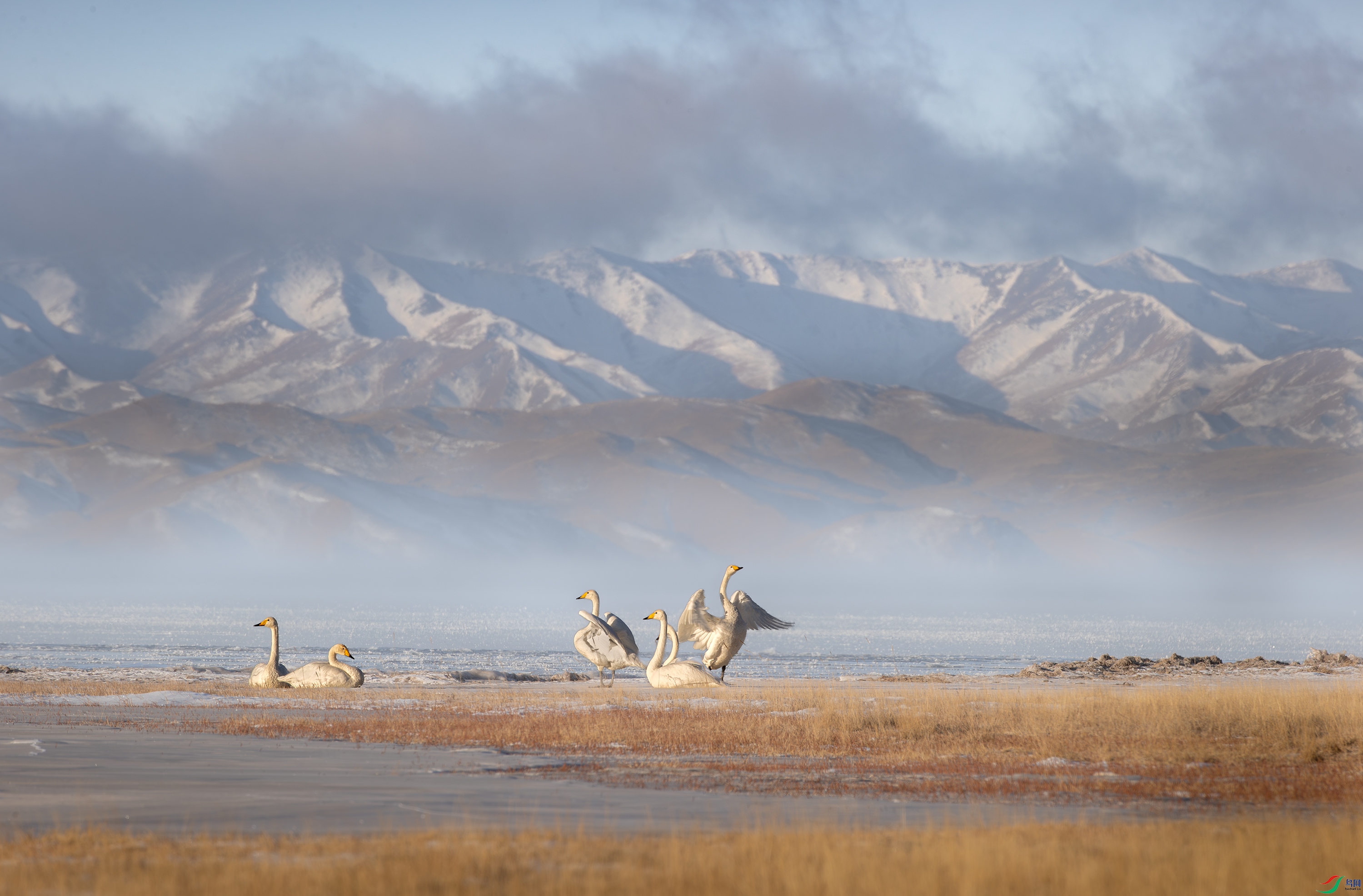 A15I6752-����ǿ-NR-1 ����.jpg