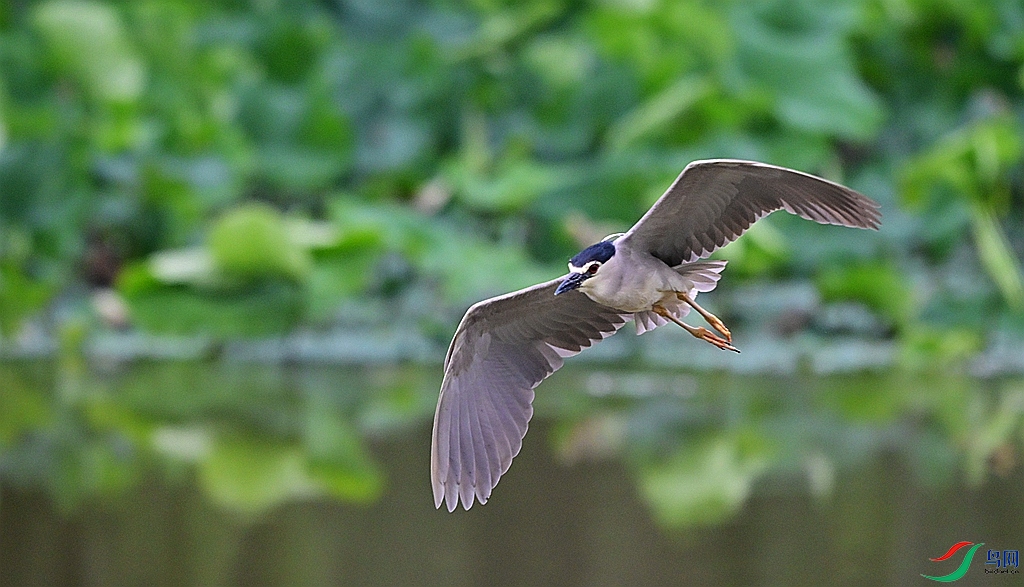 DSC_5104.JPG