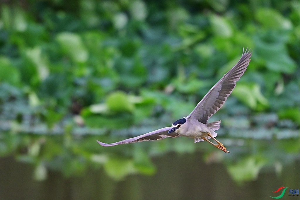 DSC_5105.JPG