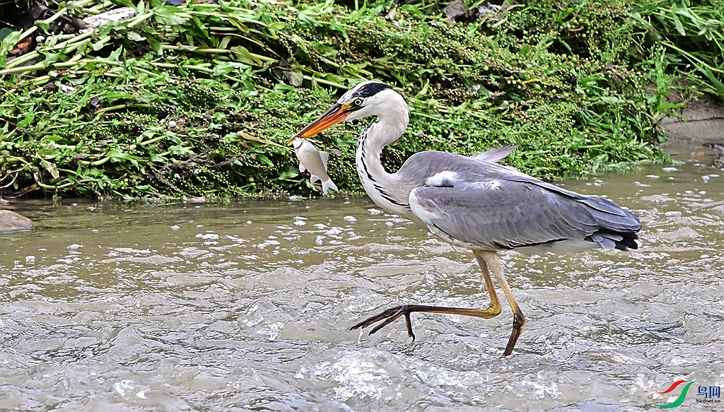 DSC_5359.JPG
