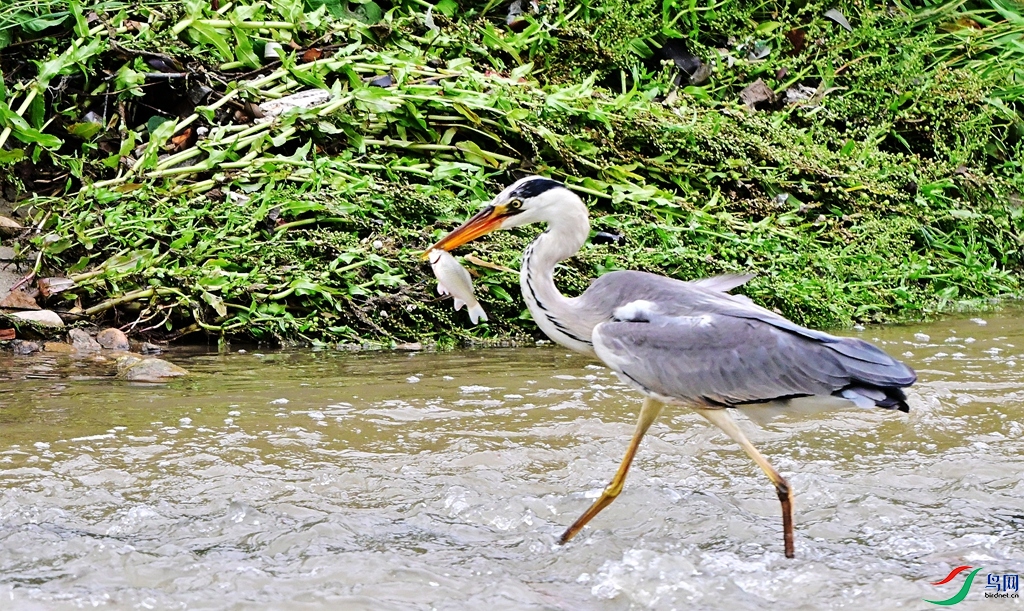 DSC_5362.JPG