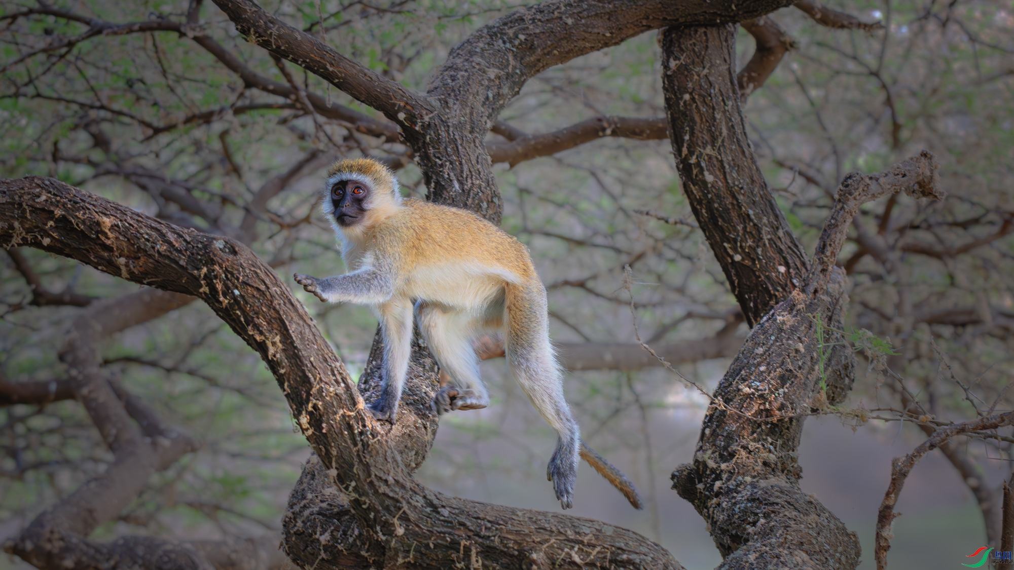 _DSC2920-����ǿ-NR-2 ����_1.jpg