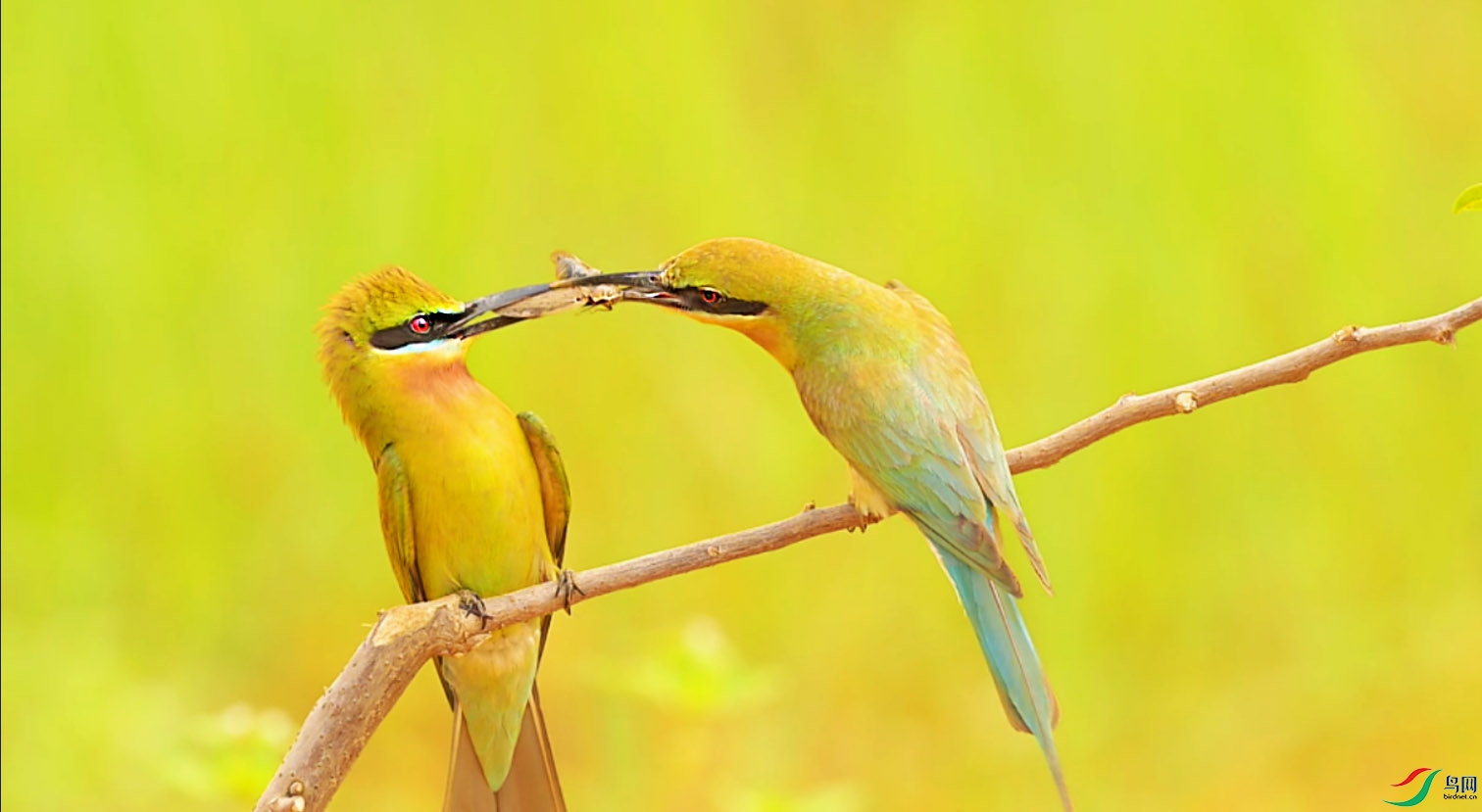 {B678F0F3-1BF4-110C-B8C1-8DF6F000DA5F} ����.jpg