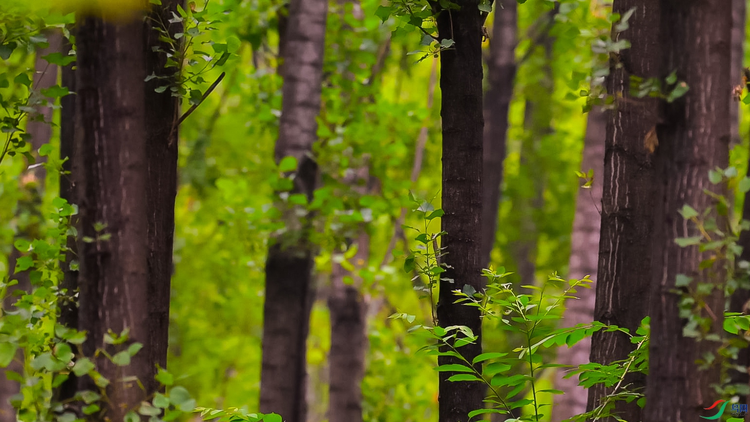 ��Ұ���ٺ��ٴ�-���� ����.jpg