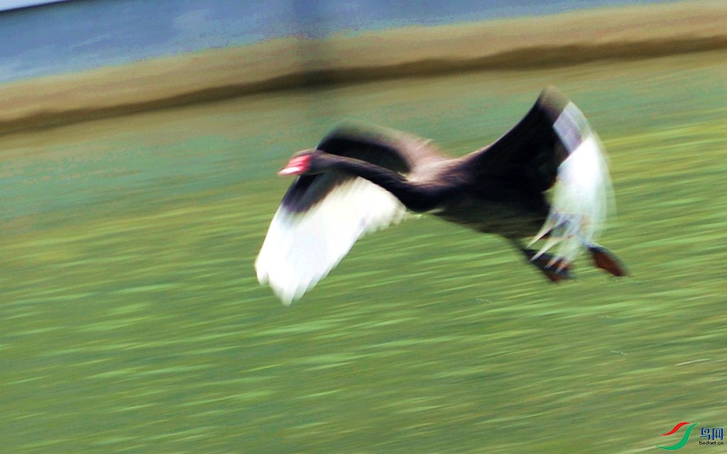 392 (246)_����.jpg