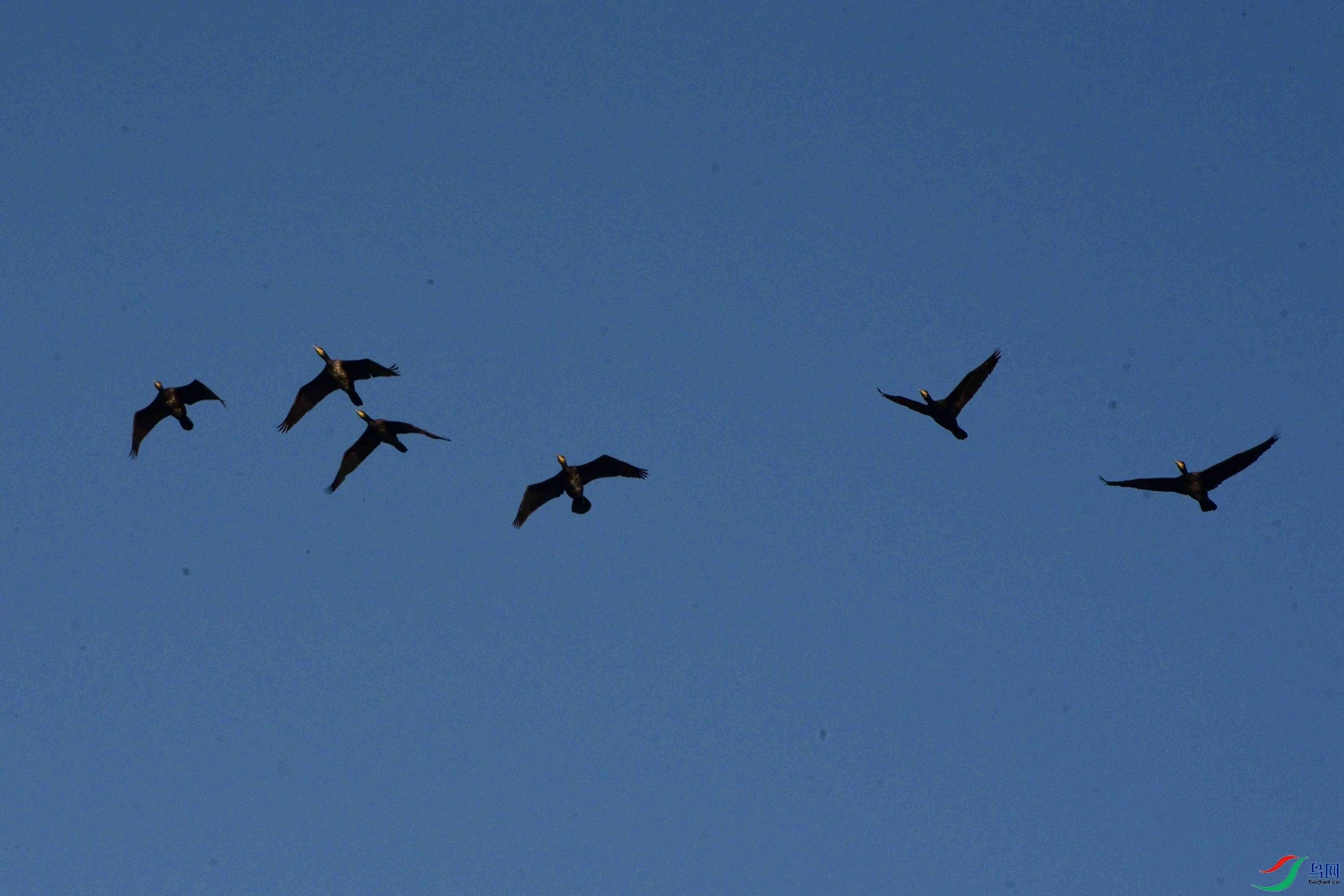 DSC_0187.JPG