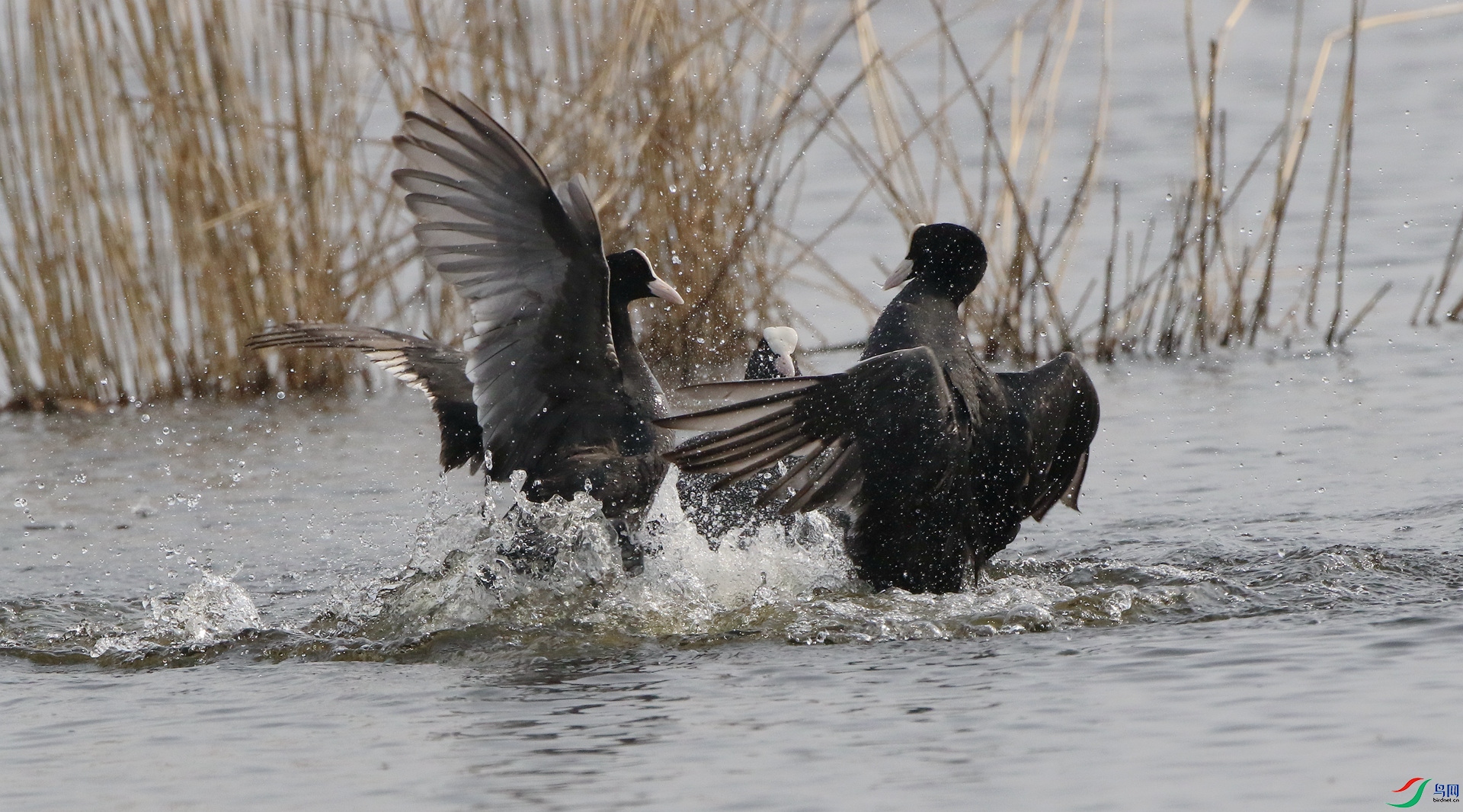 0G1A4302.JPG