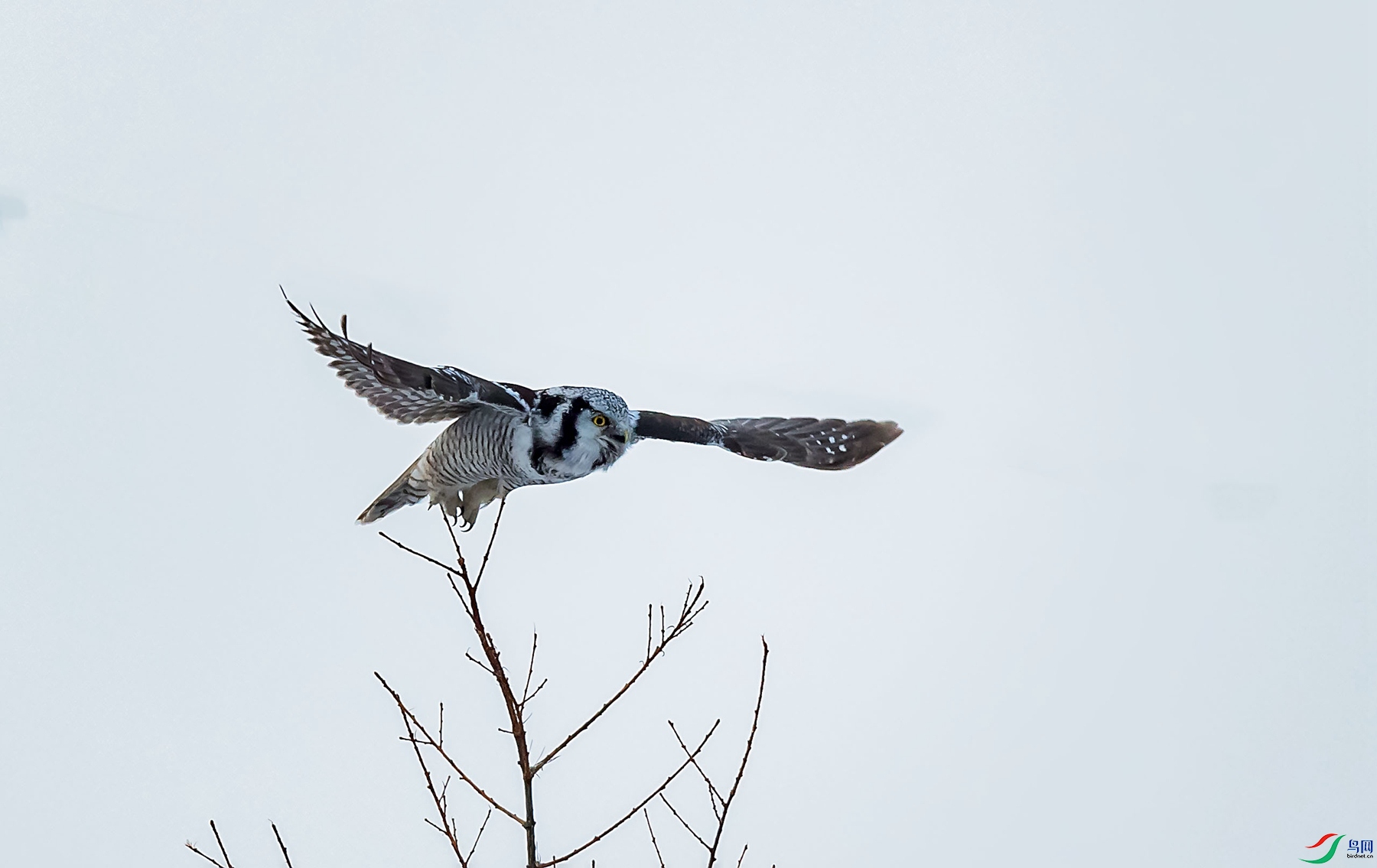 DSC_6364_����_����.jpg