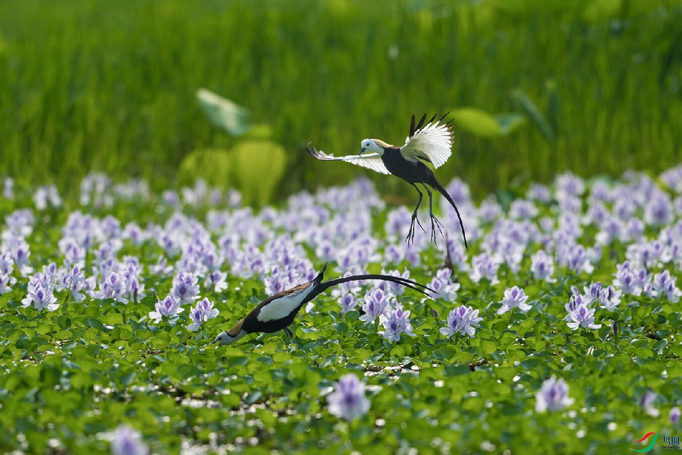 _DSC6047 ����.jpg