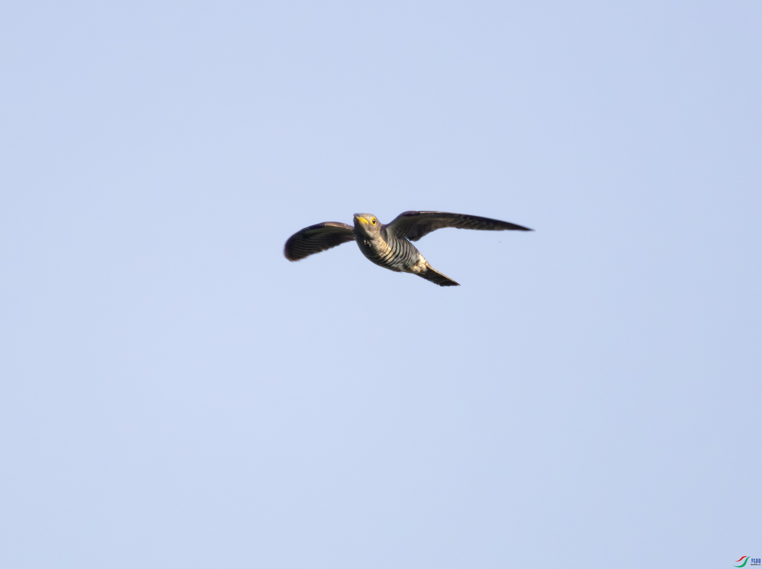 2I1A9843-����ǿ-NR ����.jpg