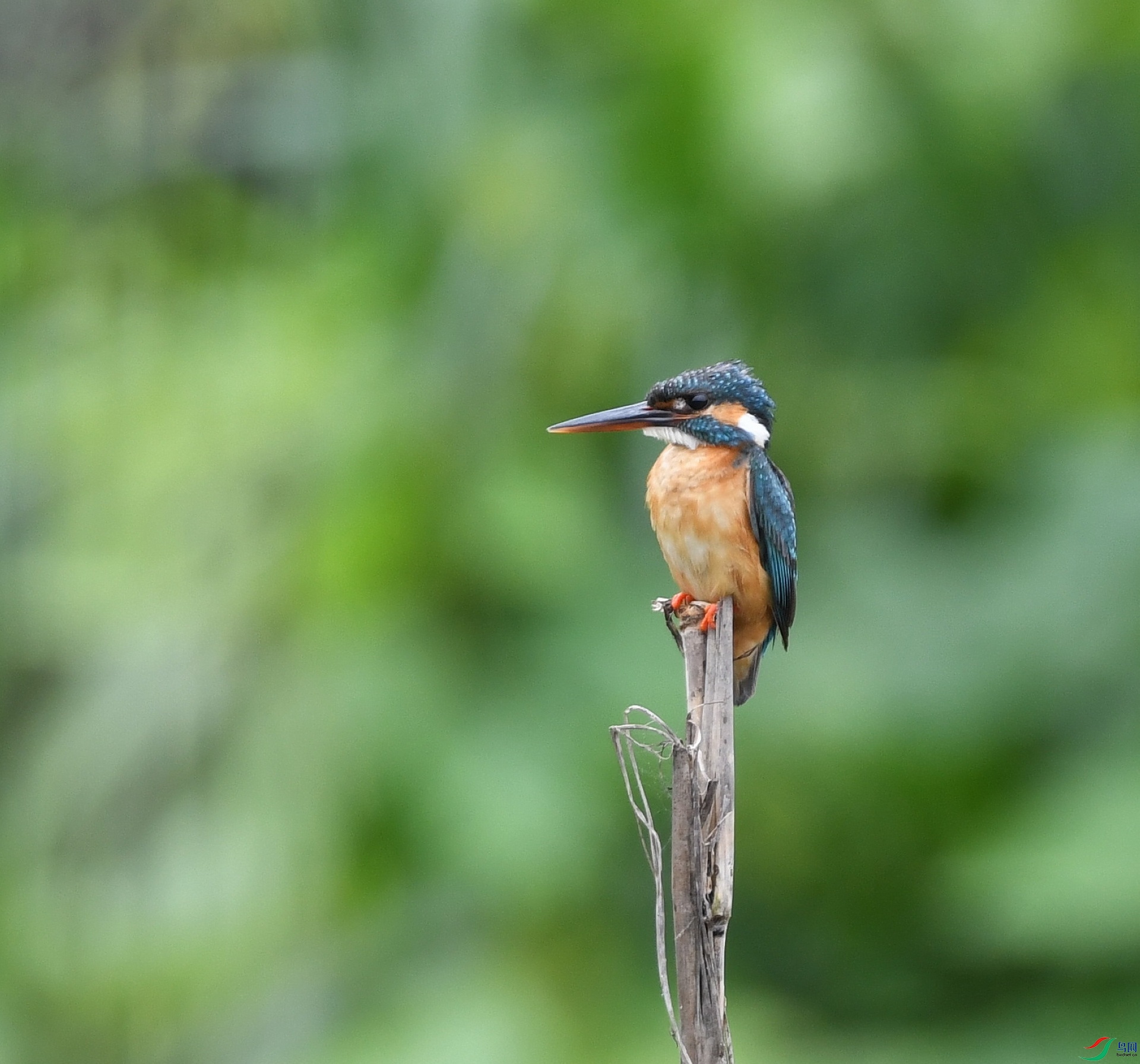 DSC_4529.jpg