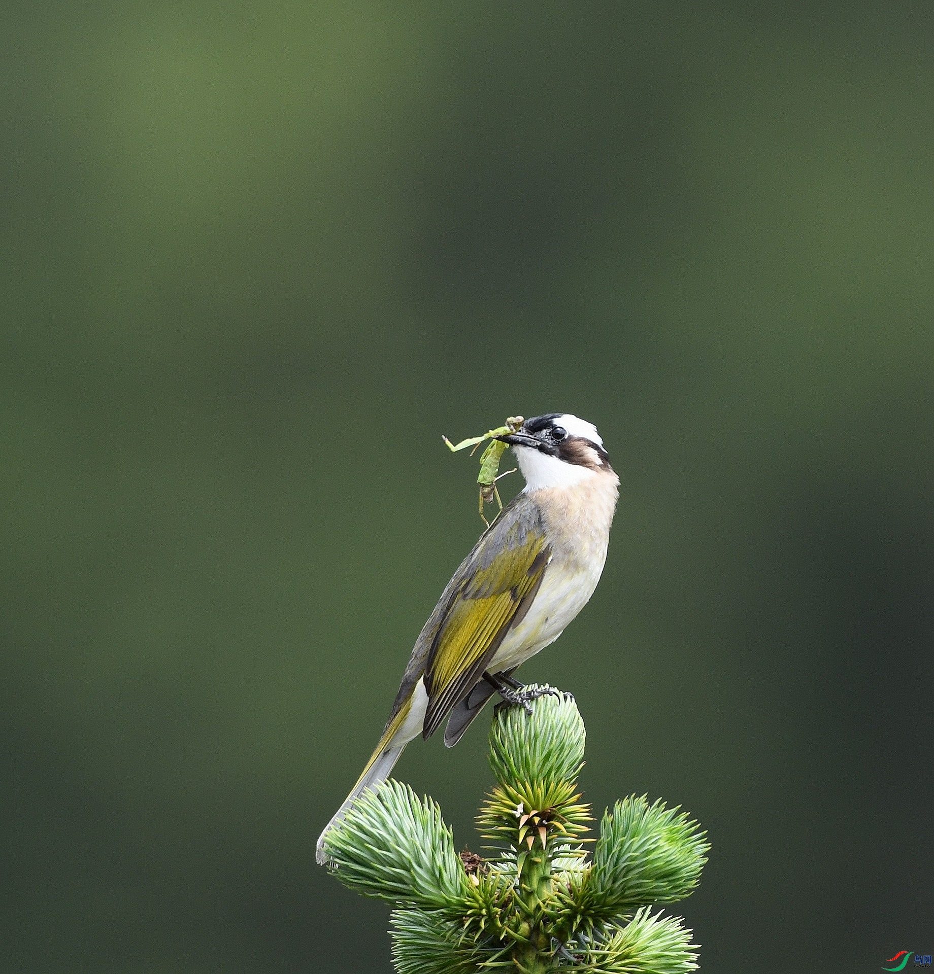 DSC_9336.jpg