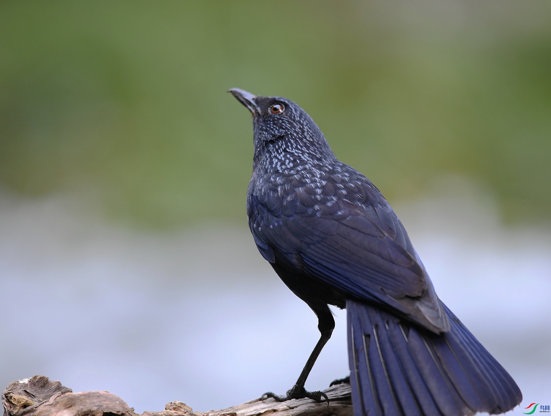 DSC_7147.jpg