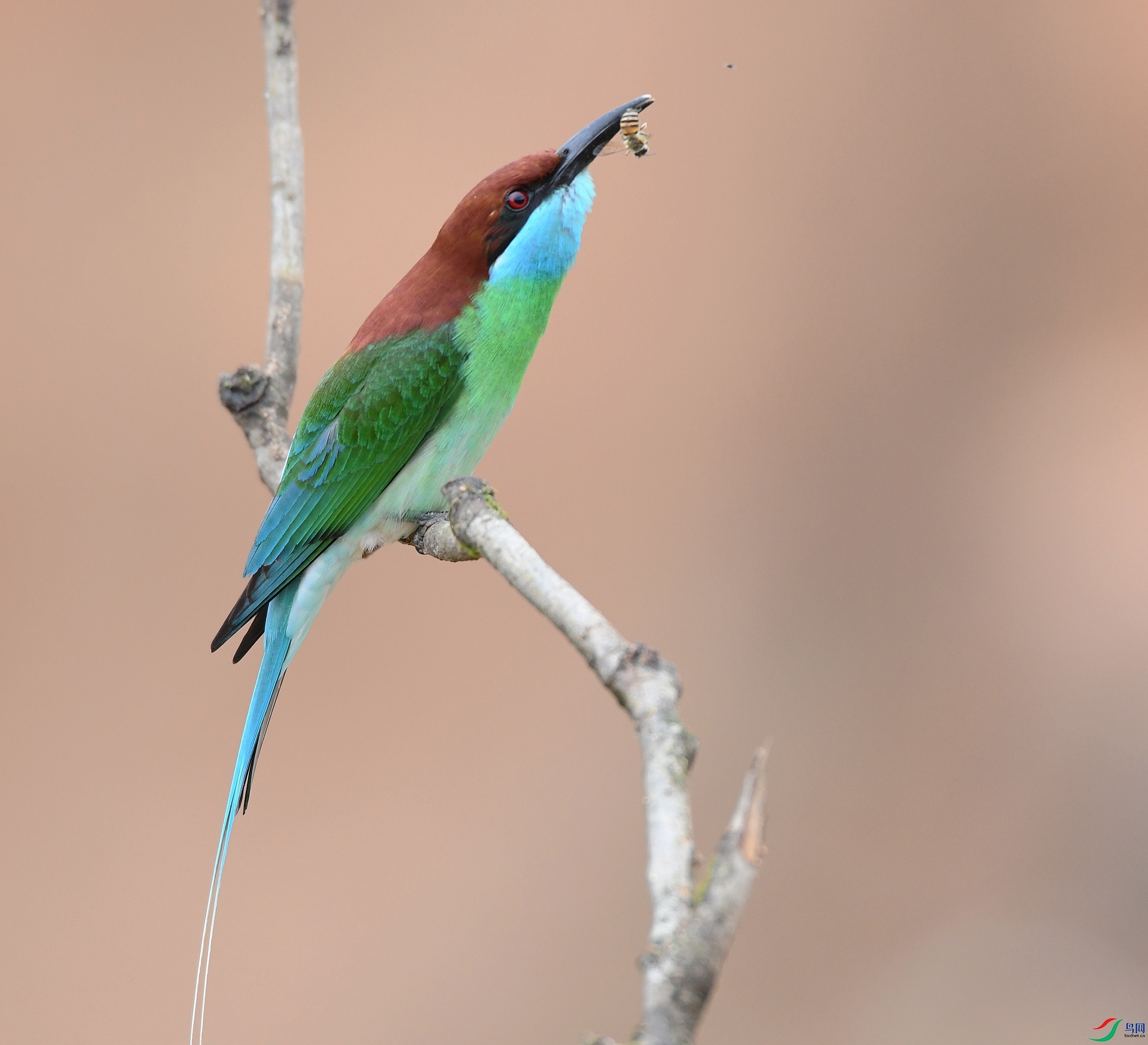 DSC_9174.jpg