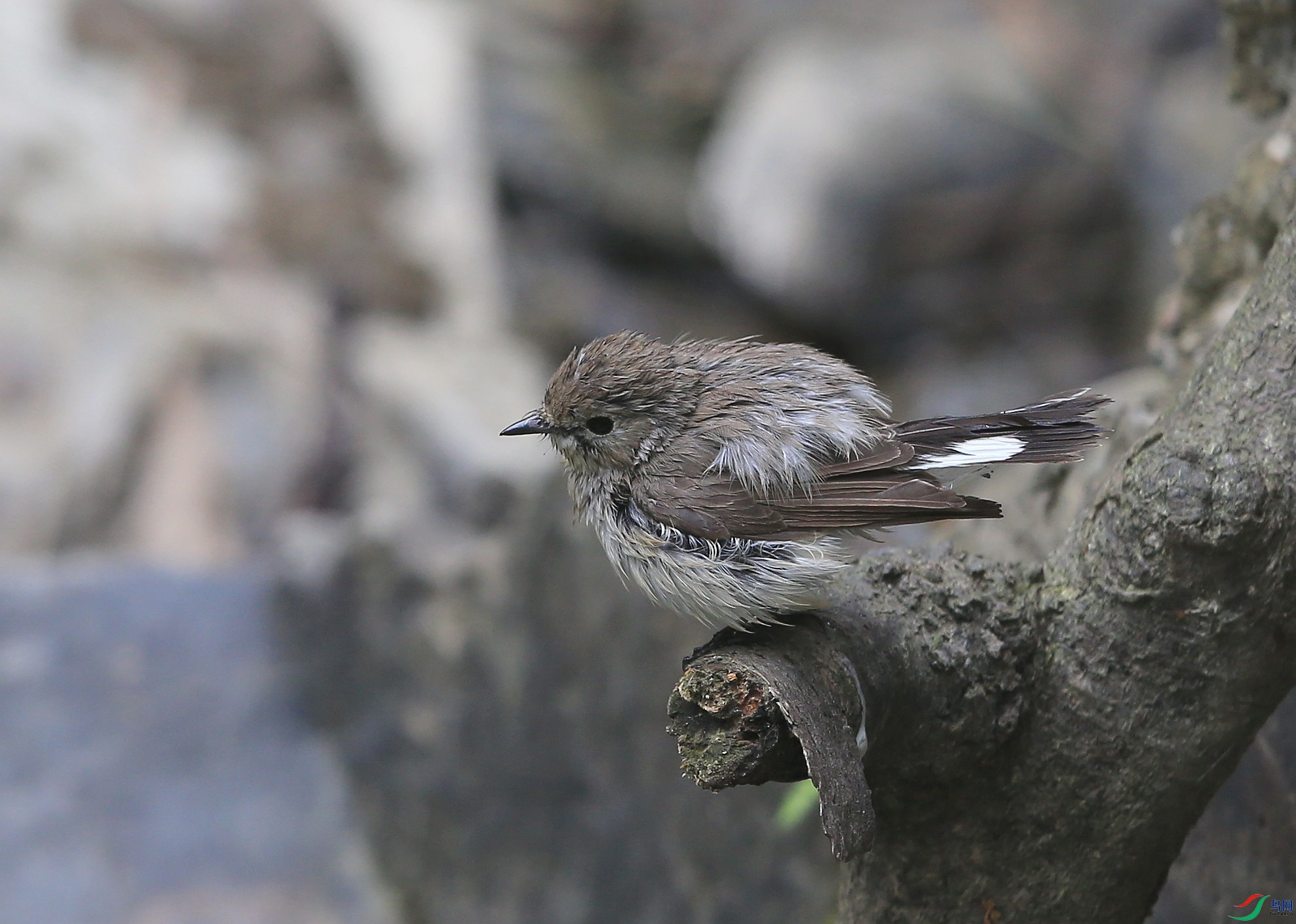 IMGL1300�� ��.JPG