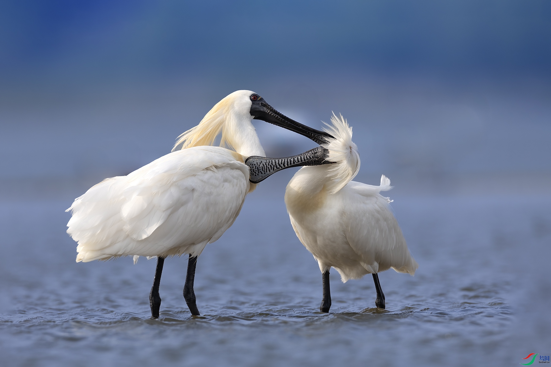 488A5346 ����.jpg