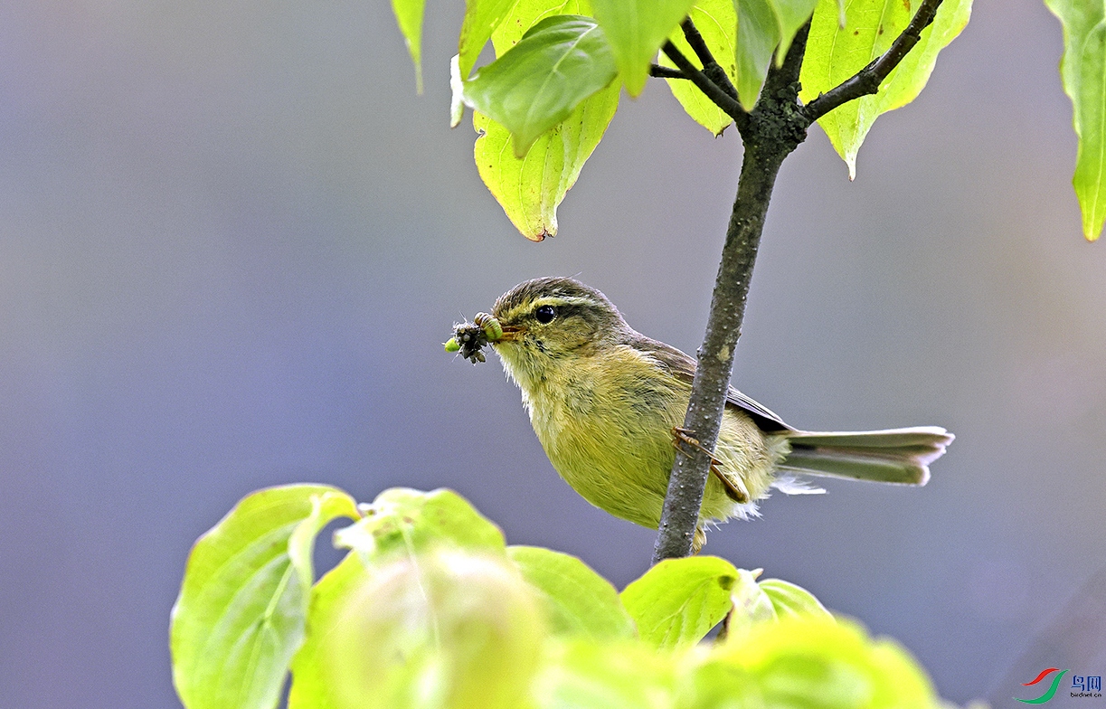A0543.jpg