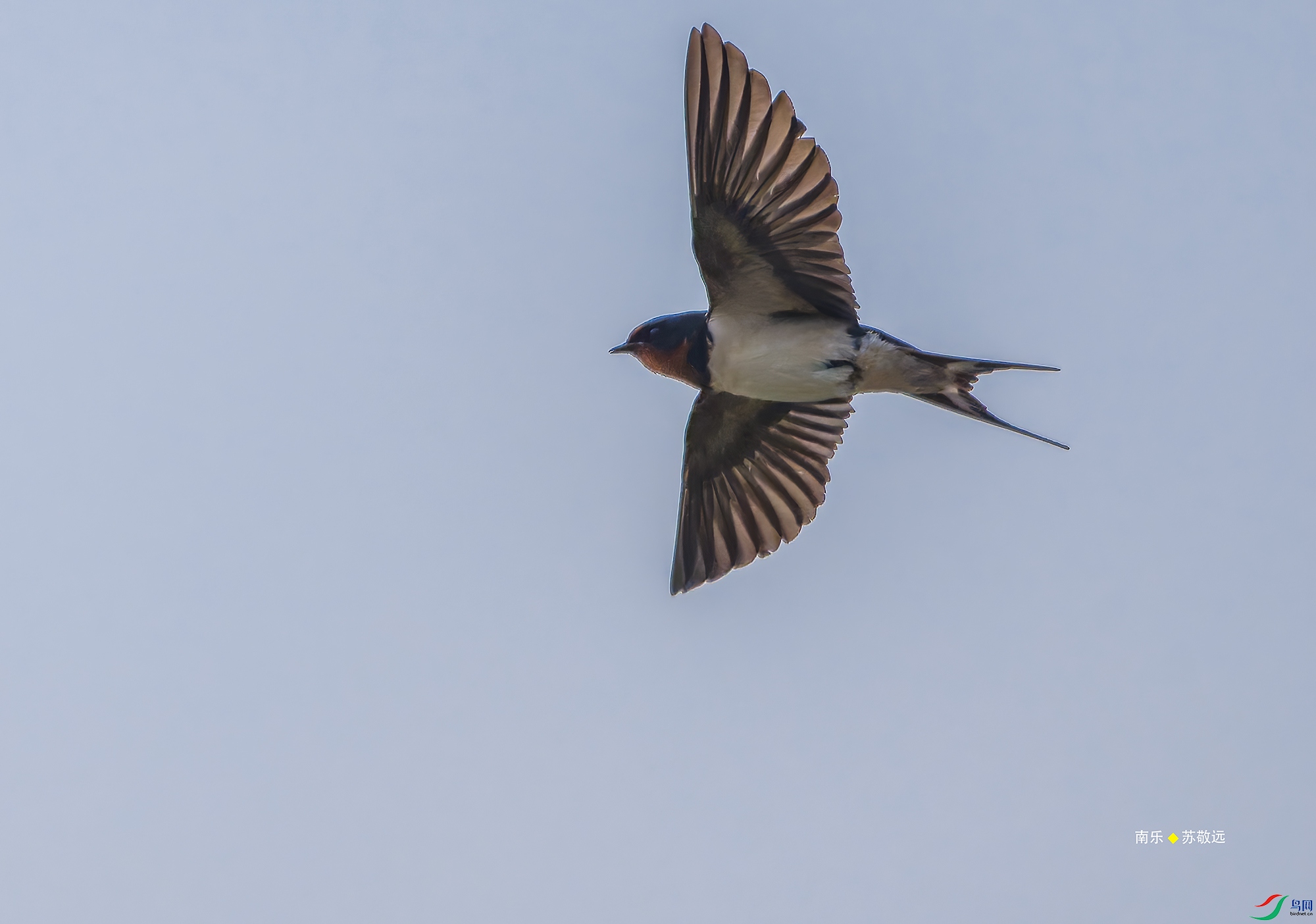20250424-_DSC7068С.jpg