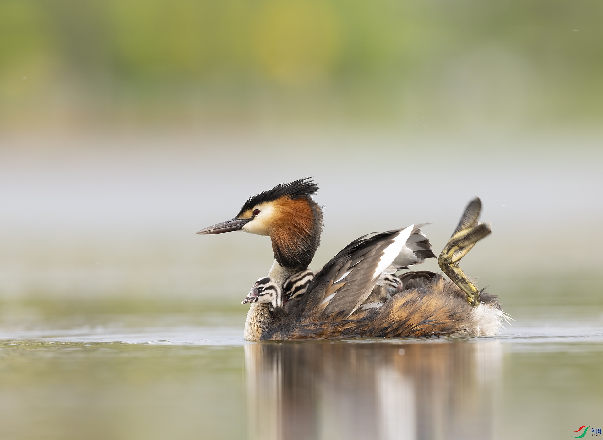 019A2692 ����.jpg