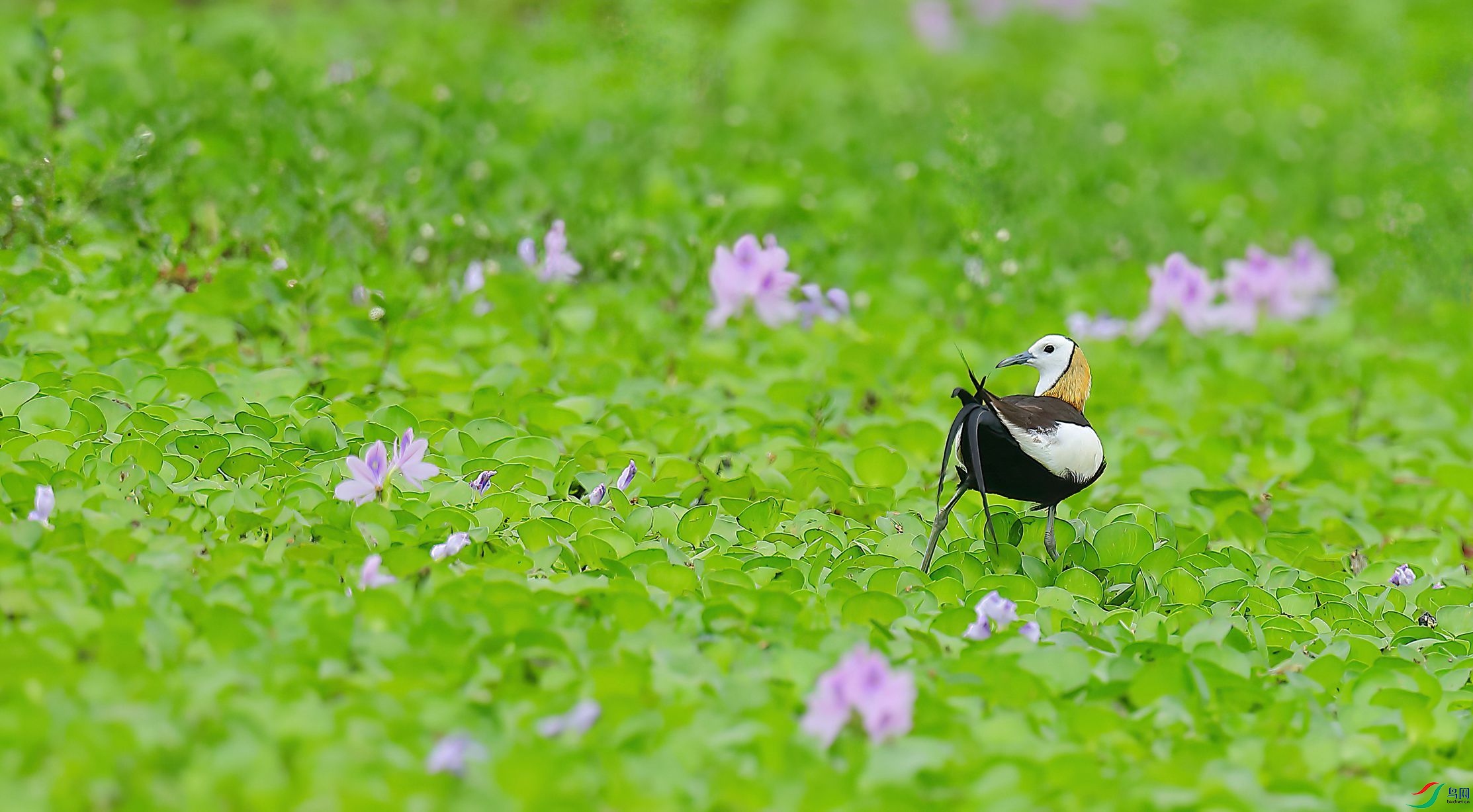 B43I7099-SharpenAI-Motion.jpg