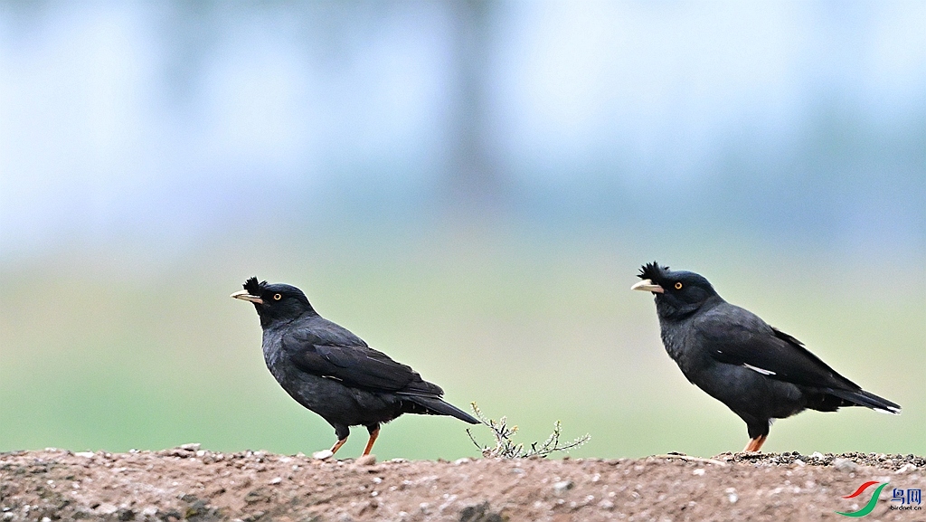 DSC_5626.JPG