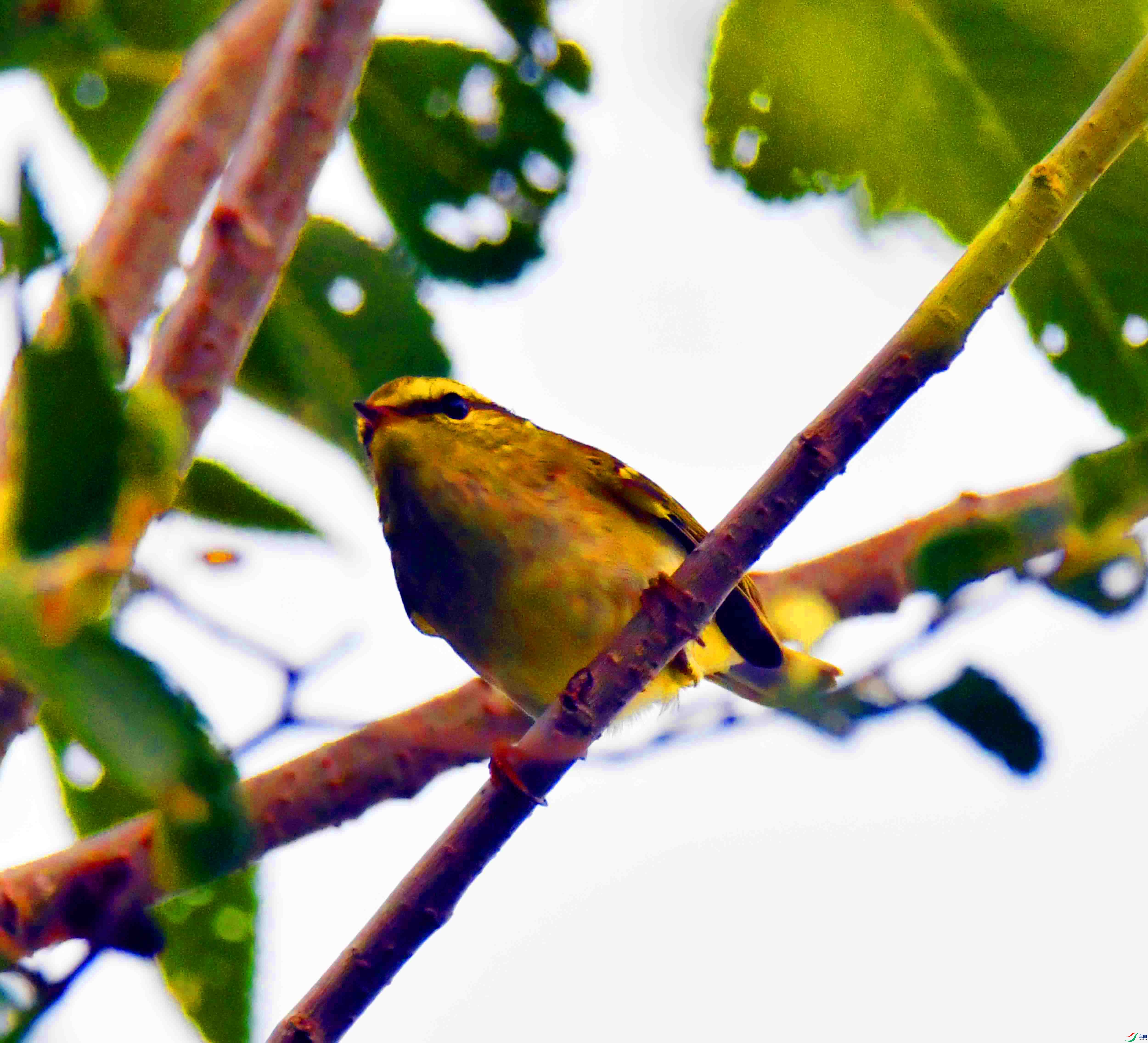 DSC_0141.JPG