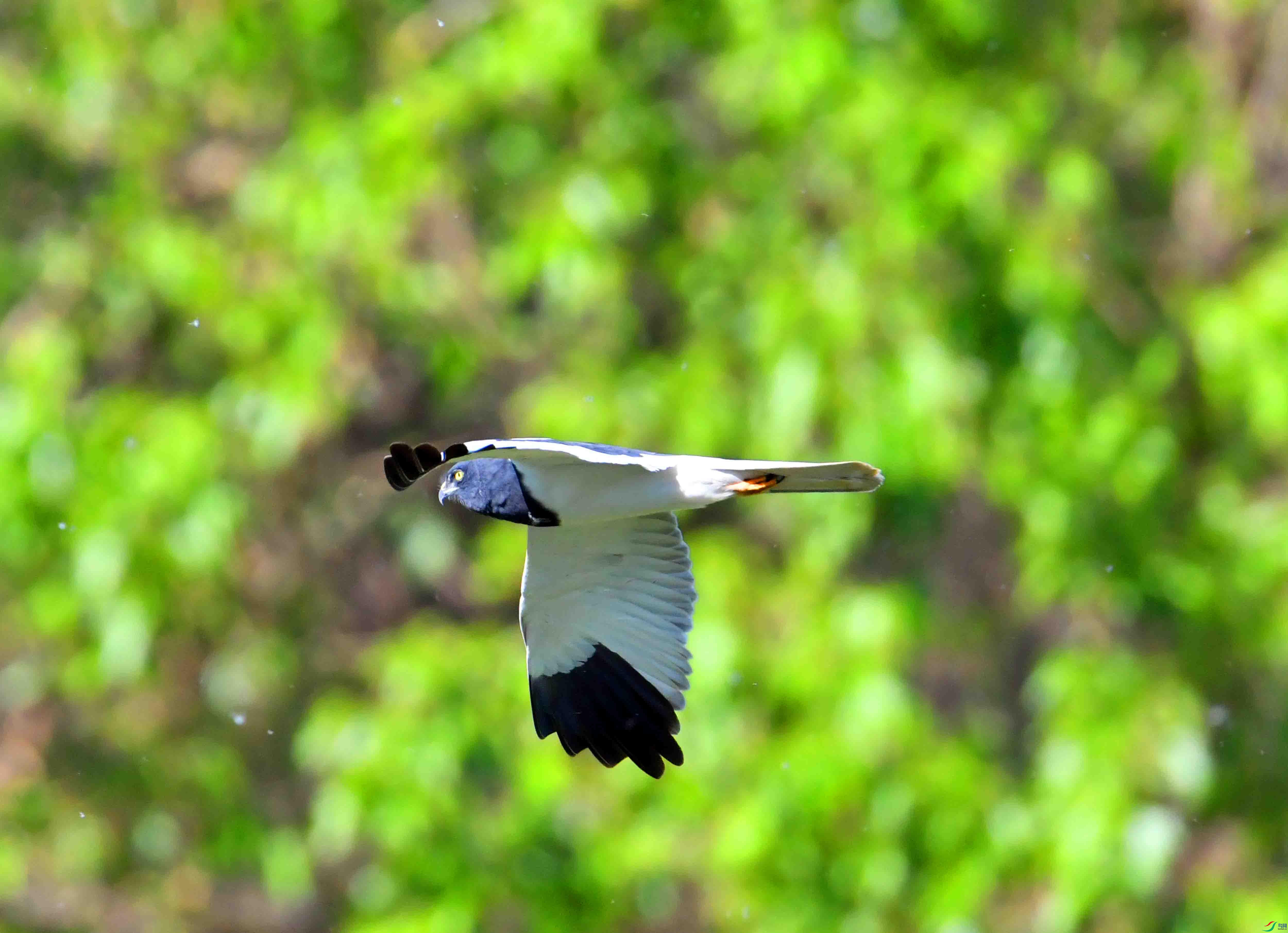 DSC_6360.JPG