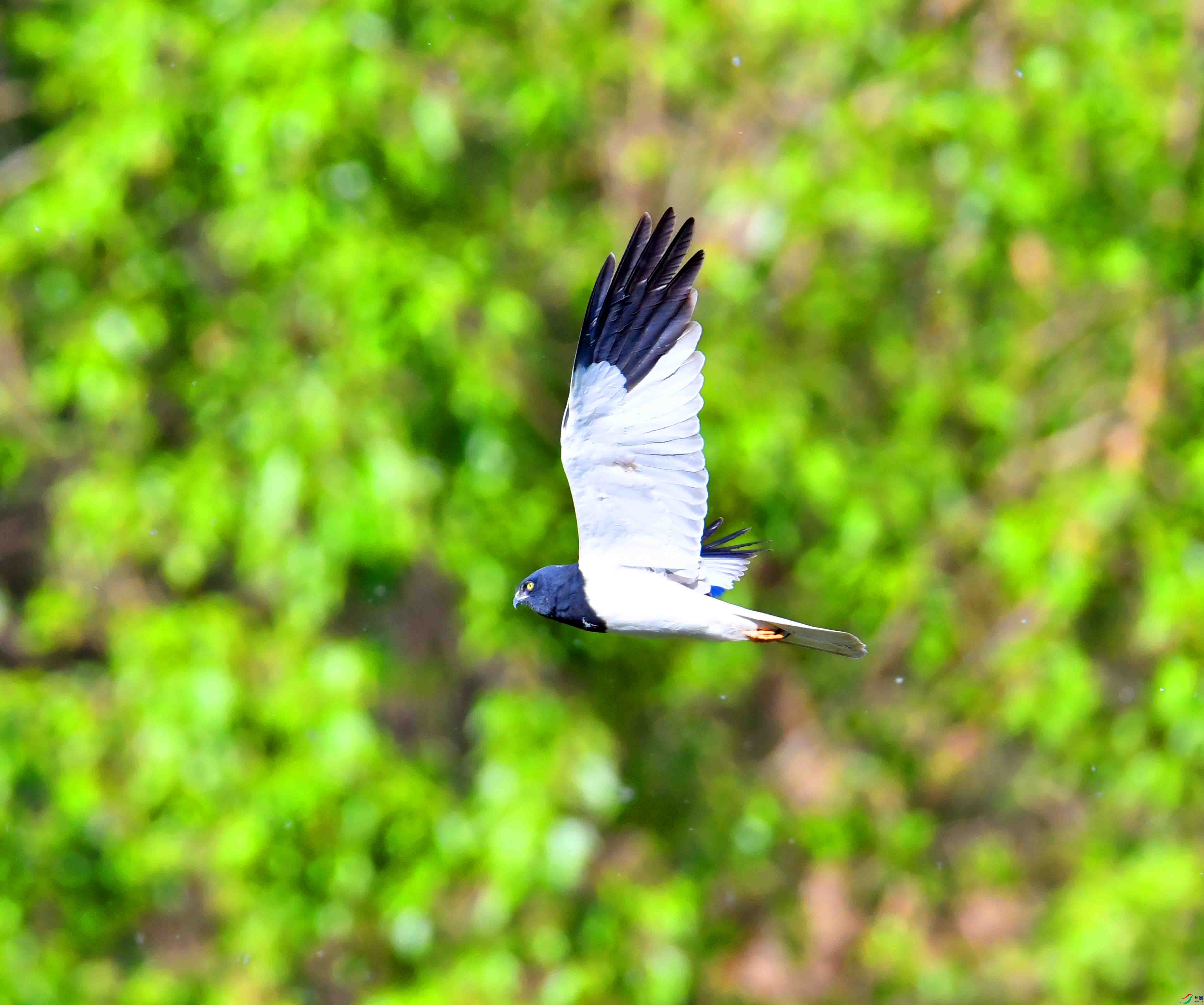 DSC_6359.JPG