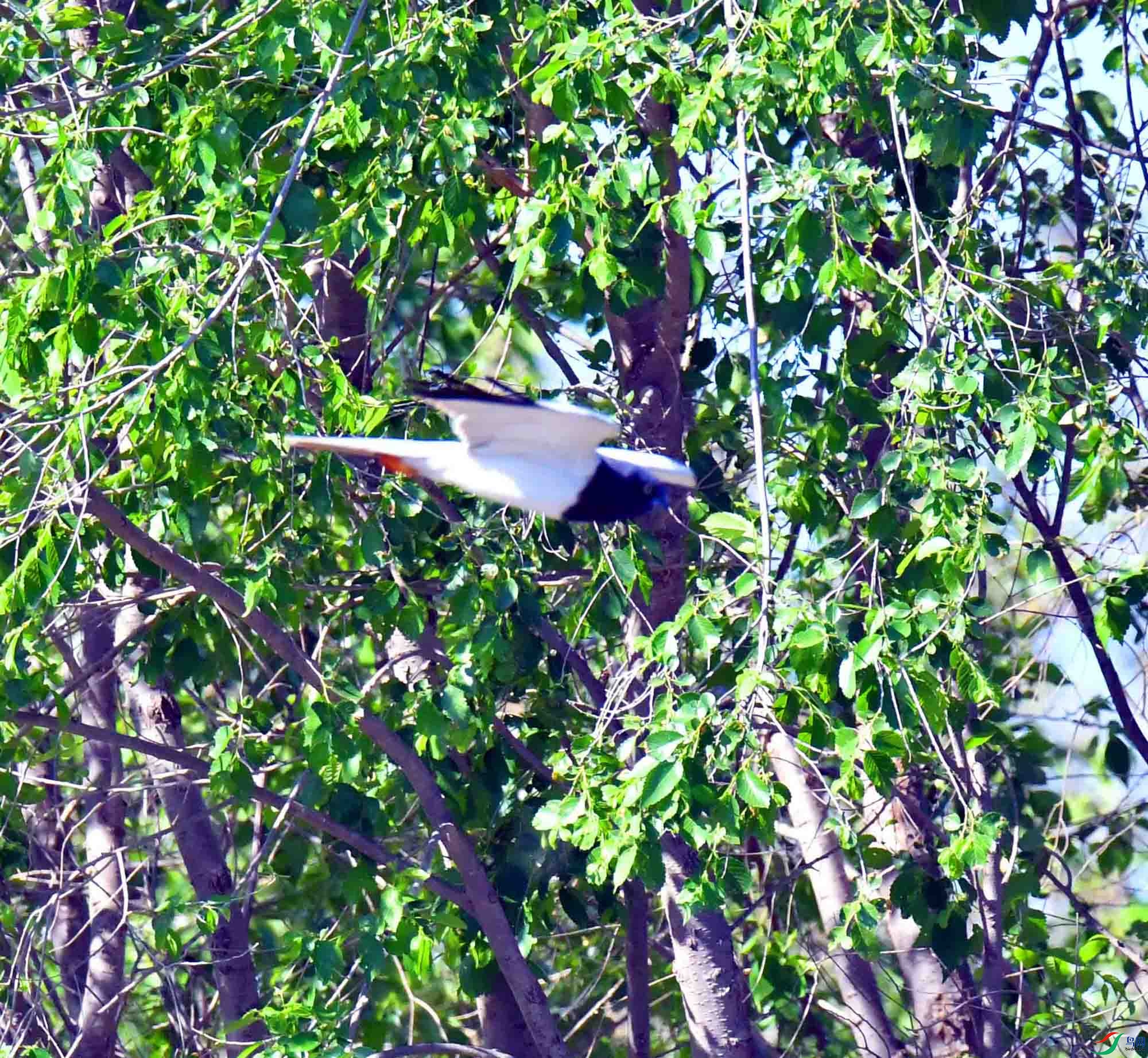 DSC_6284.JPG