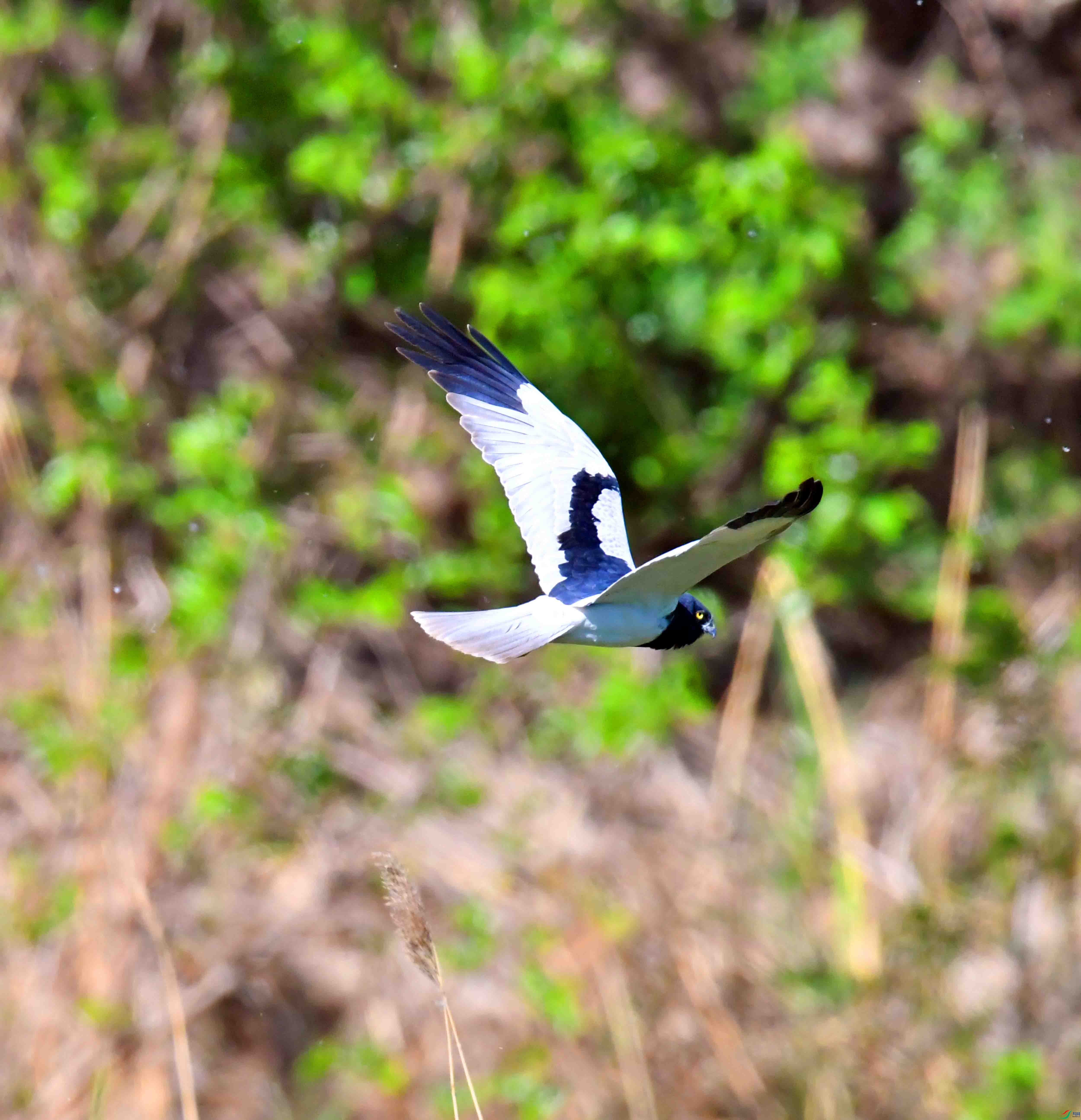 DSC_6364.JPG