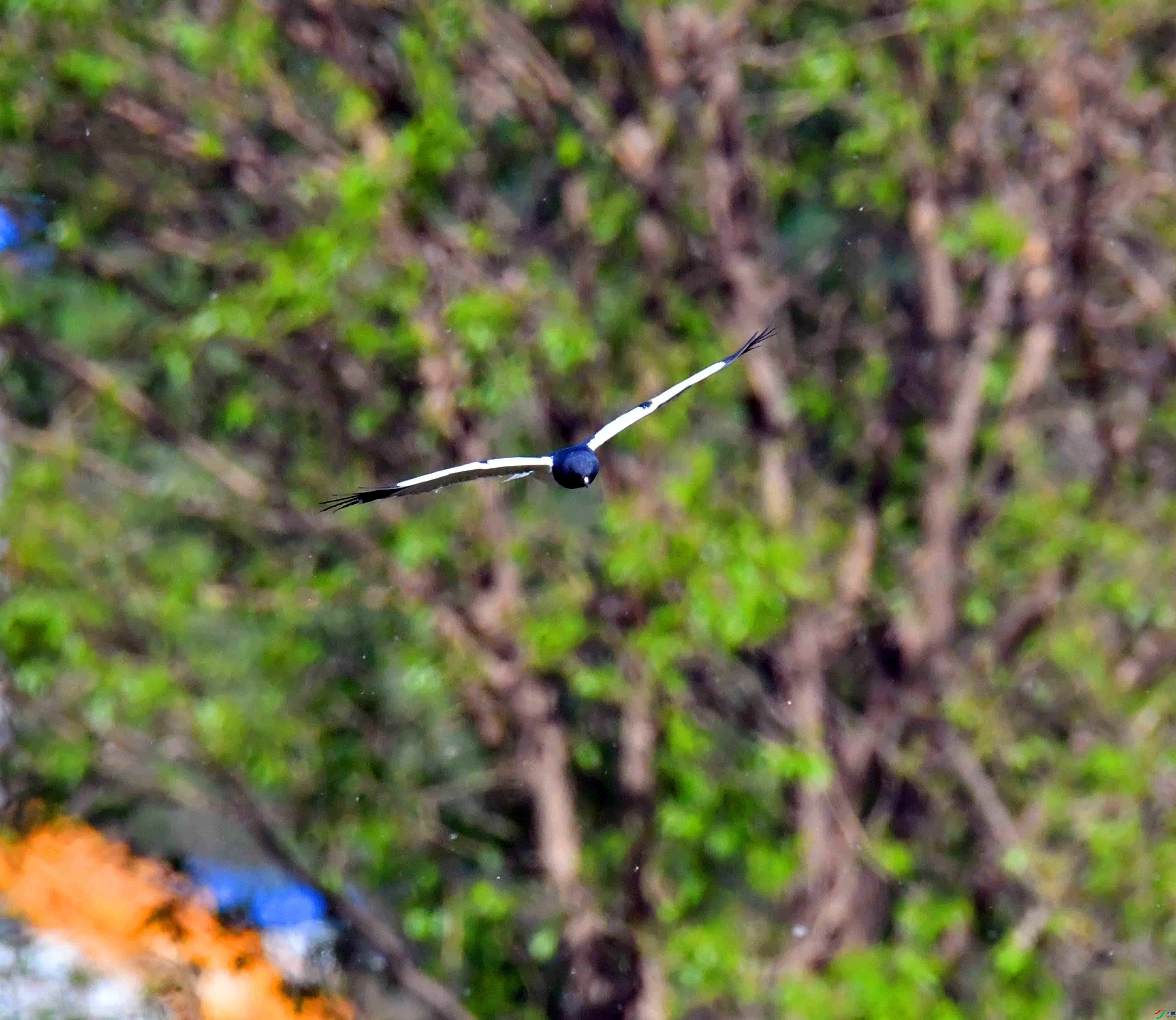 DSC_6409.JPG