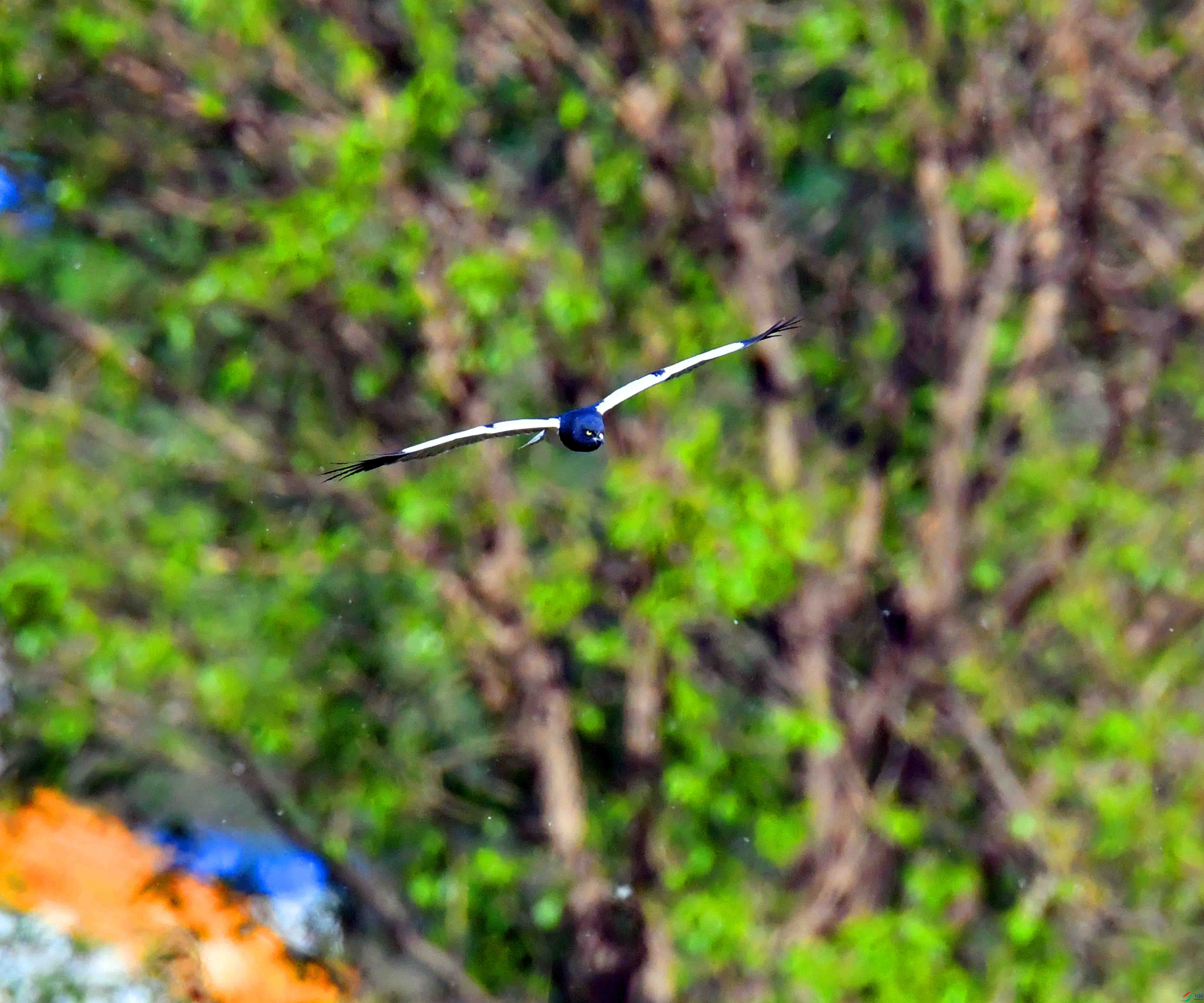 DSC_6410.JPG