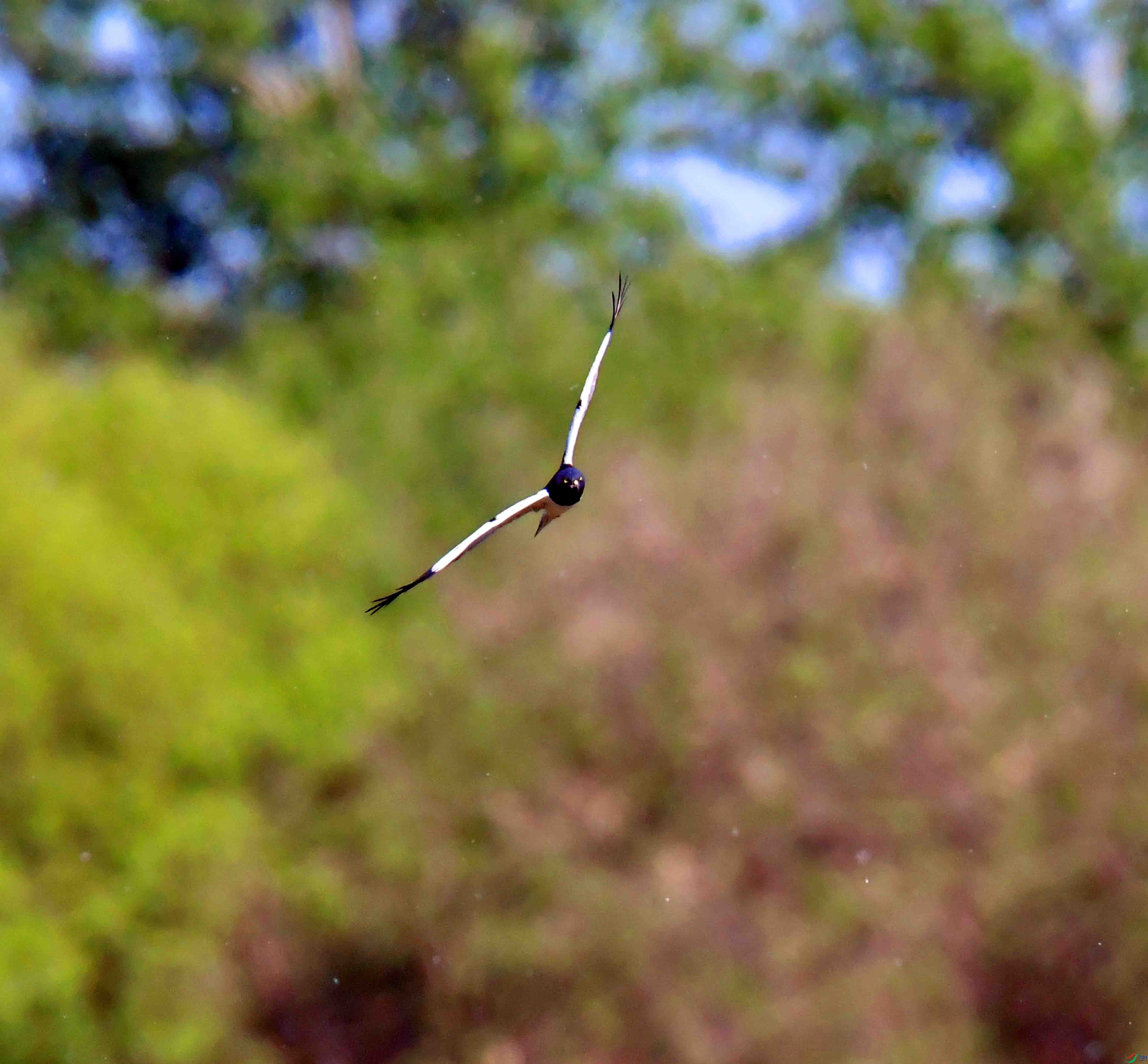 DSC_6408.JPG