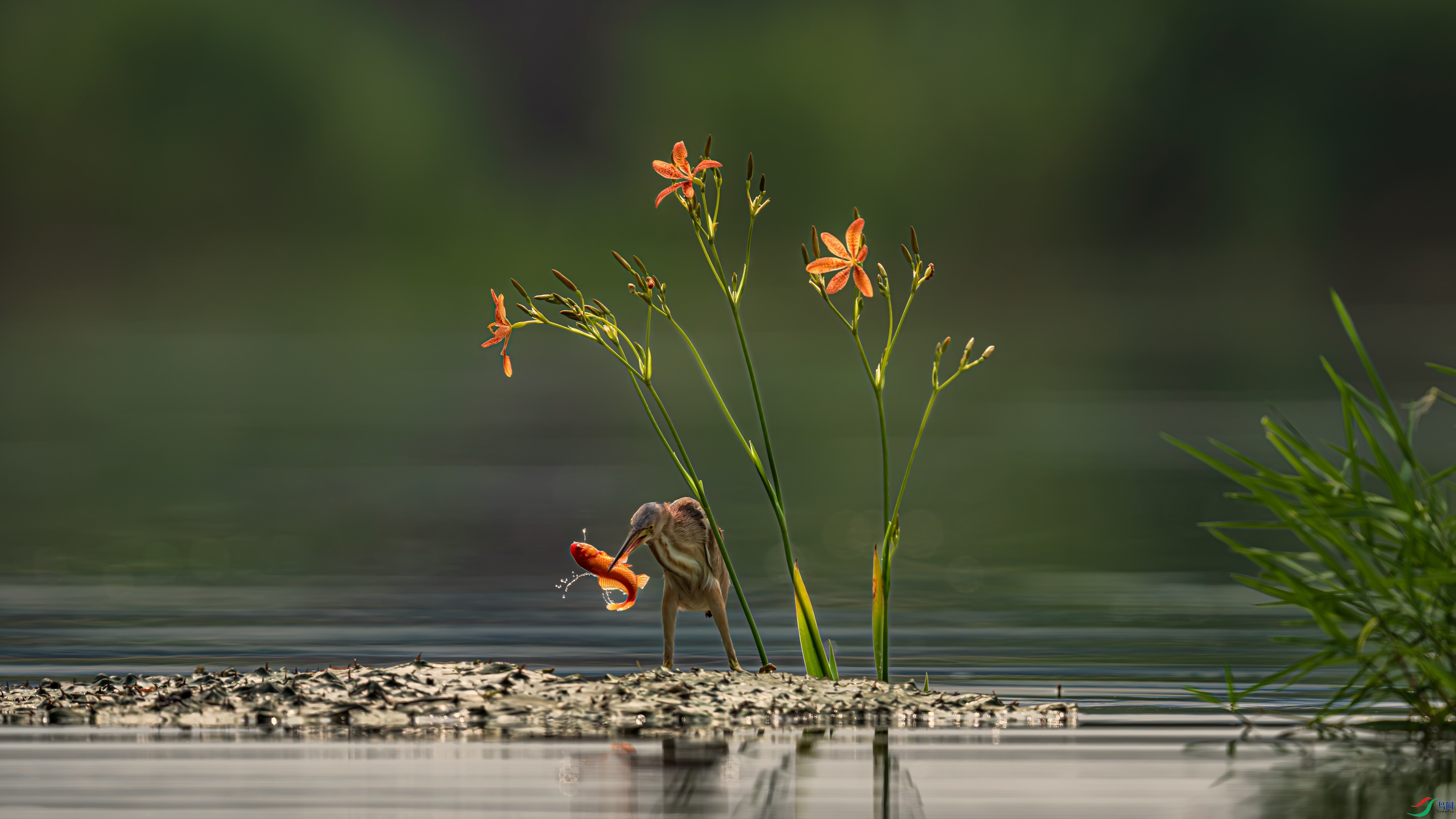 ��_DSC9764_����.jpg