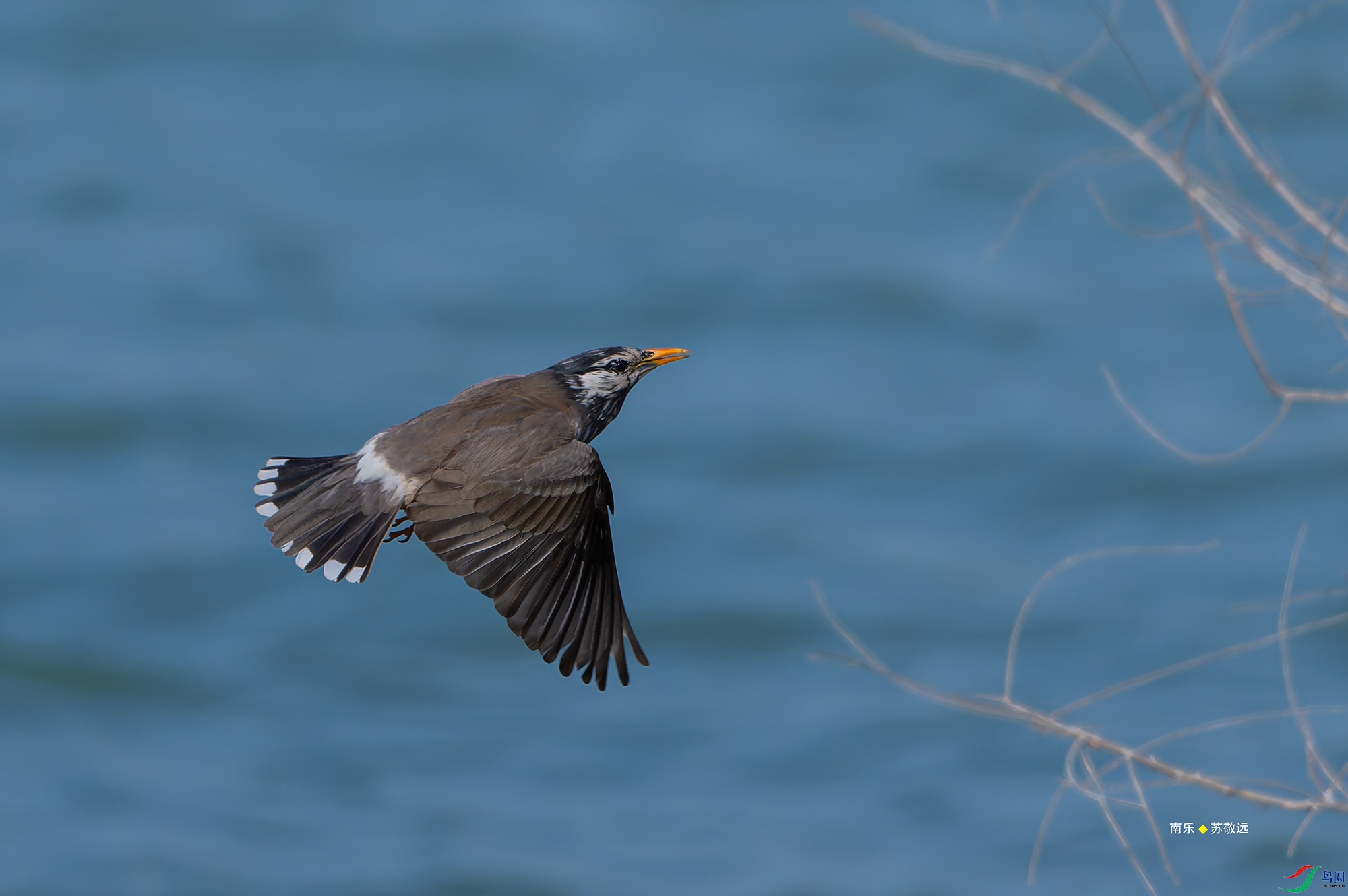 20250424-_DSC6909С.jpg