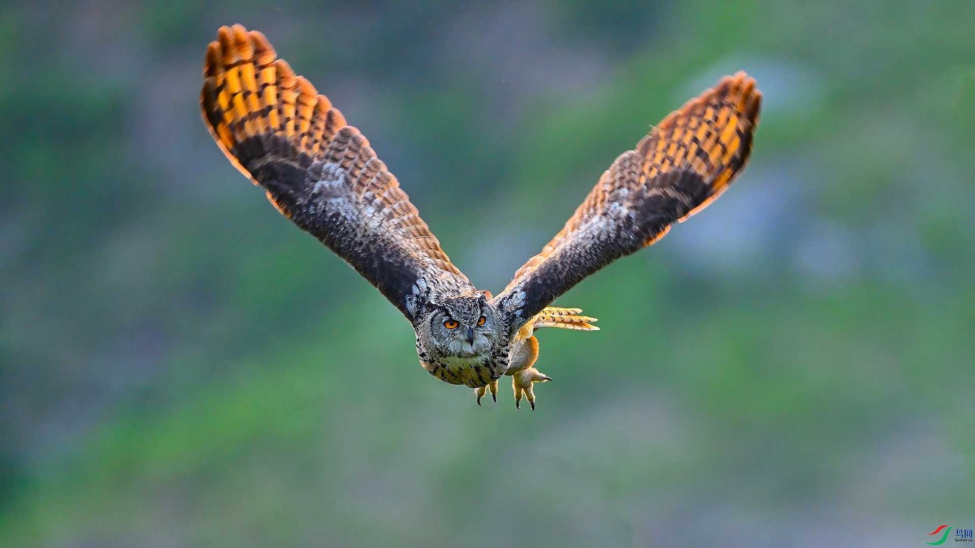 XHH_7048 ���� 3.jpg