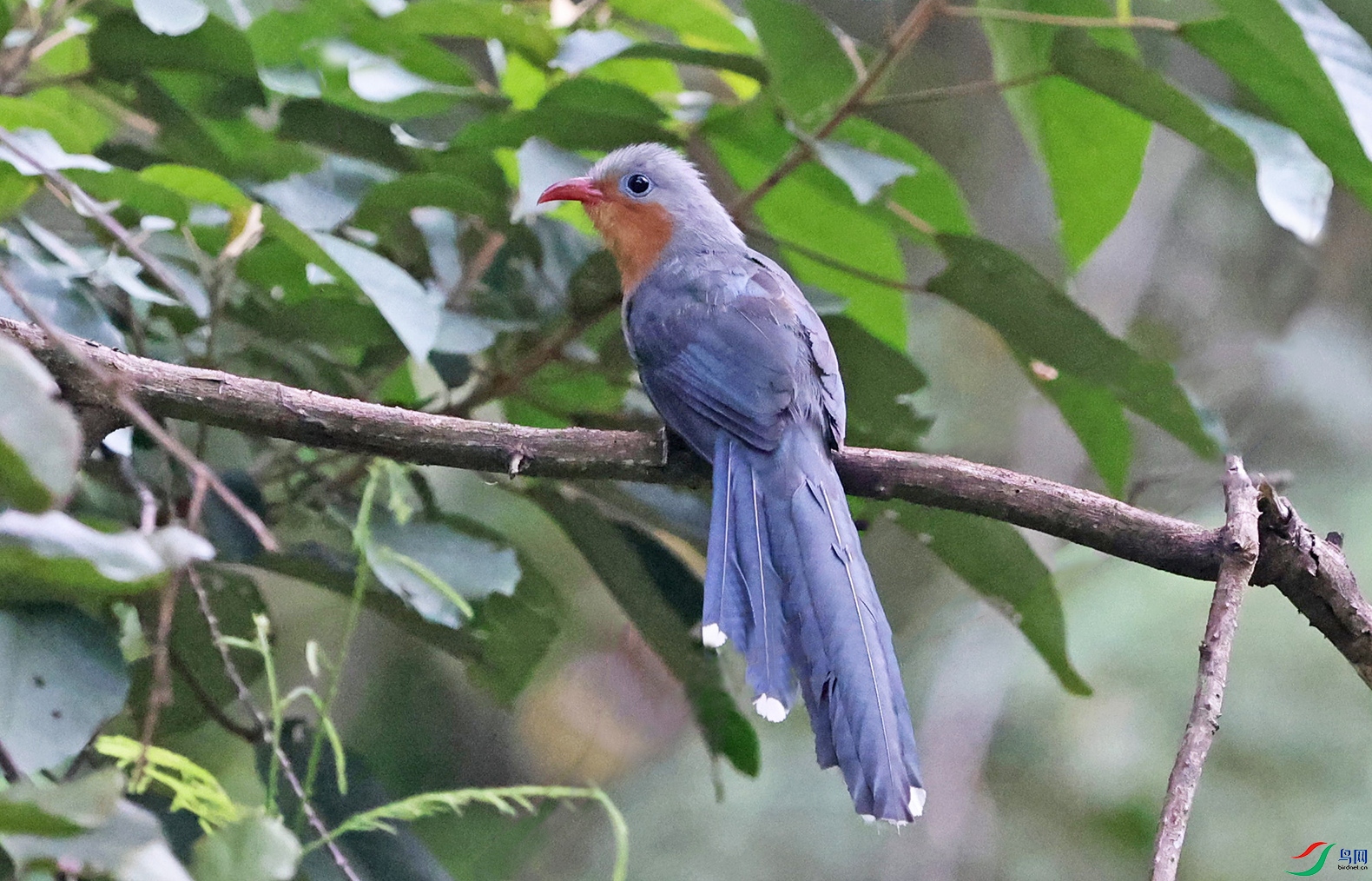 4K8A0864aa.jpg