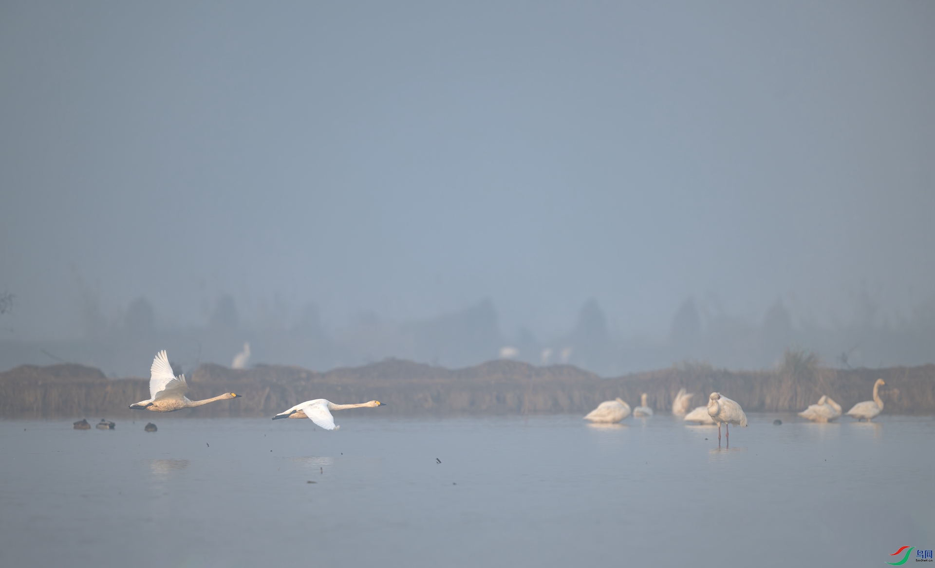 DSC_7738.jpg